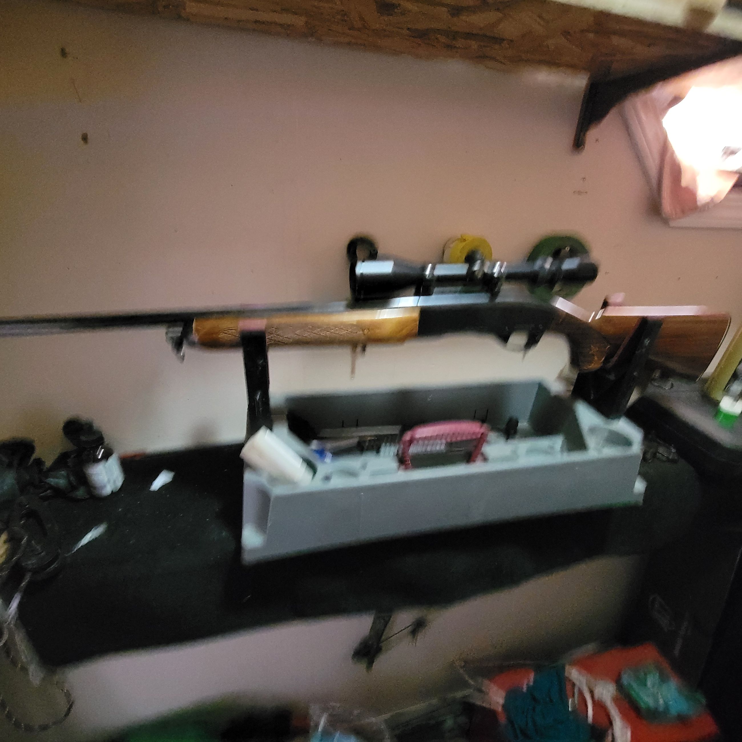 Photo of Remington 742 in 30 06