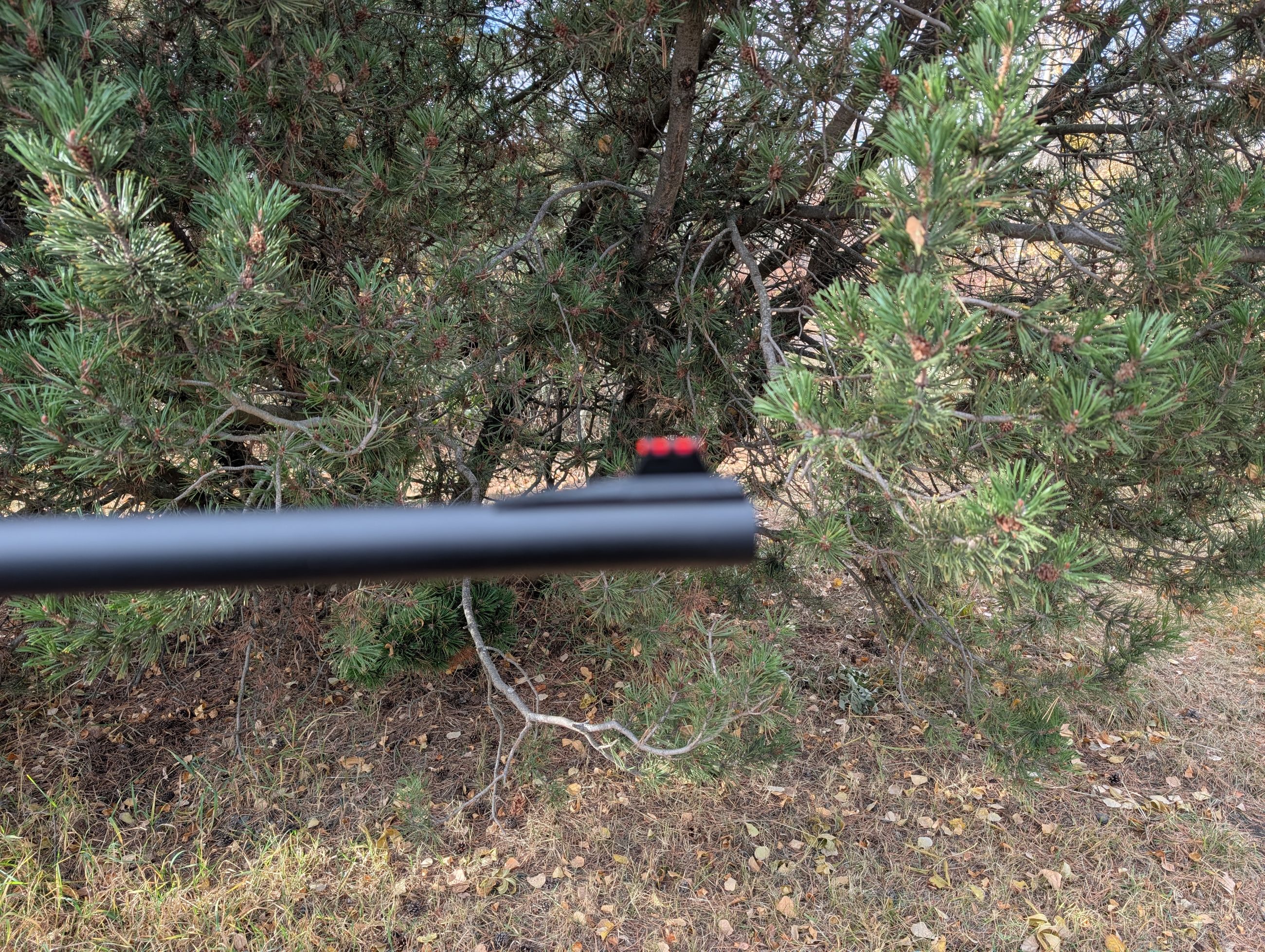 Photo of In time for Slug Season Opener!