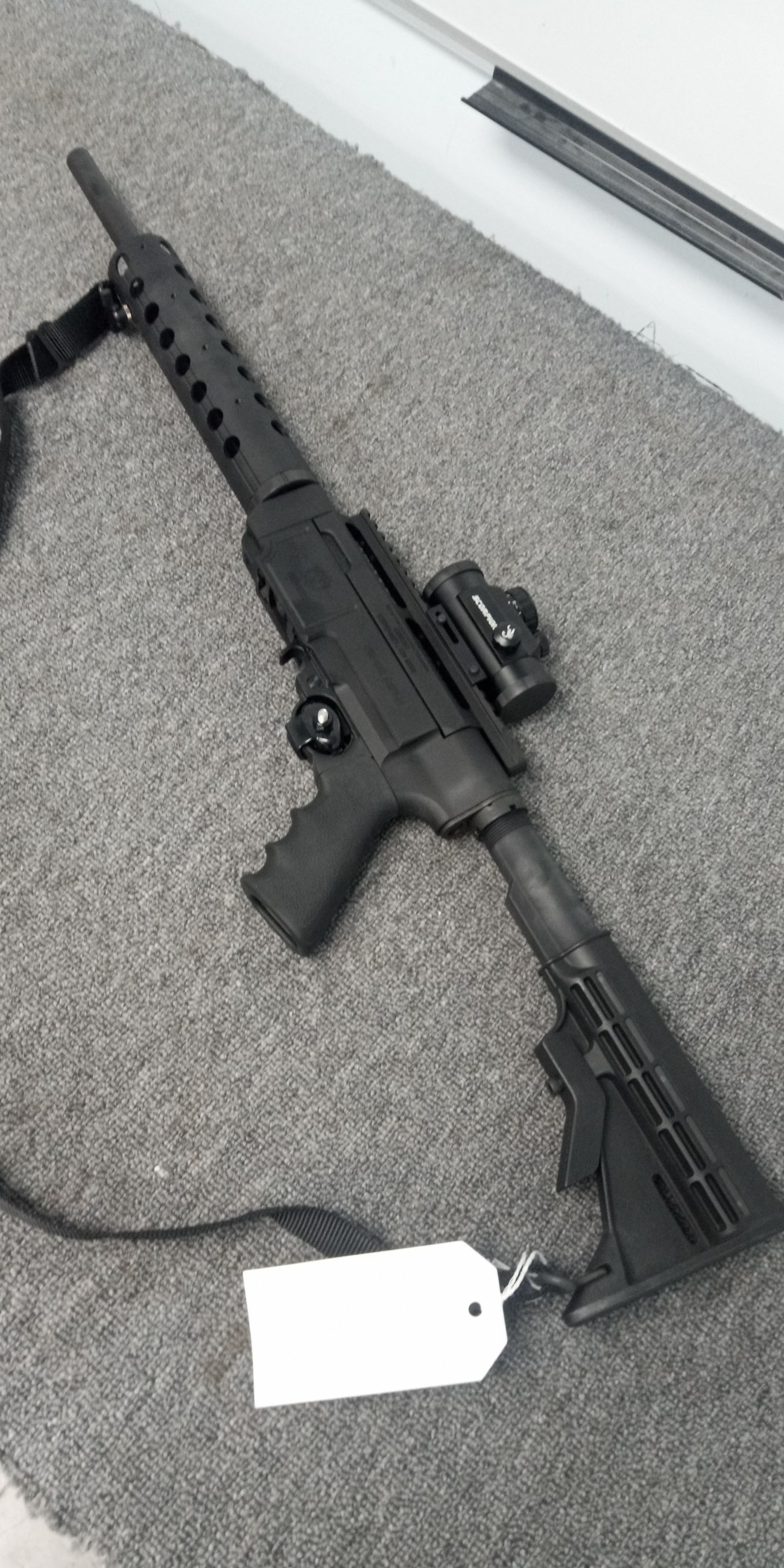 Photo of Ruger SR22 10/22