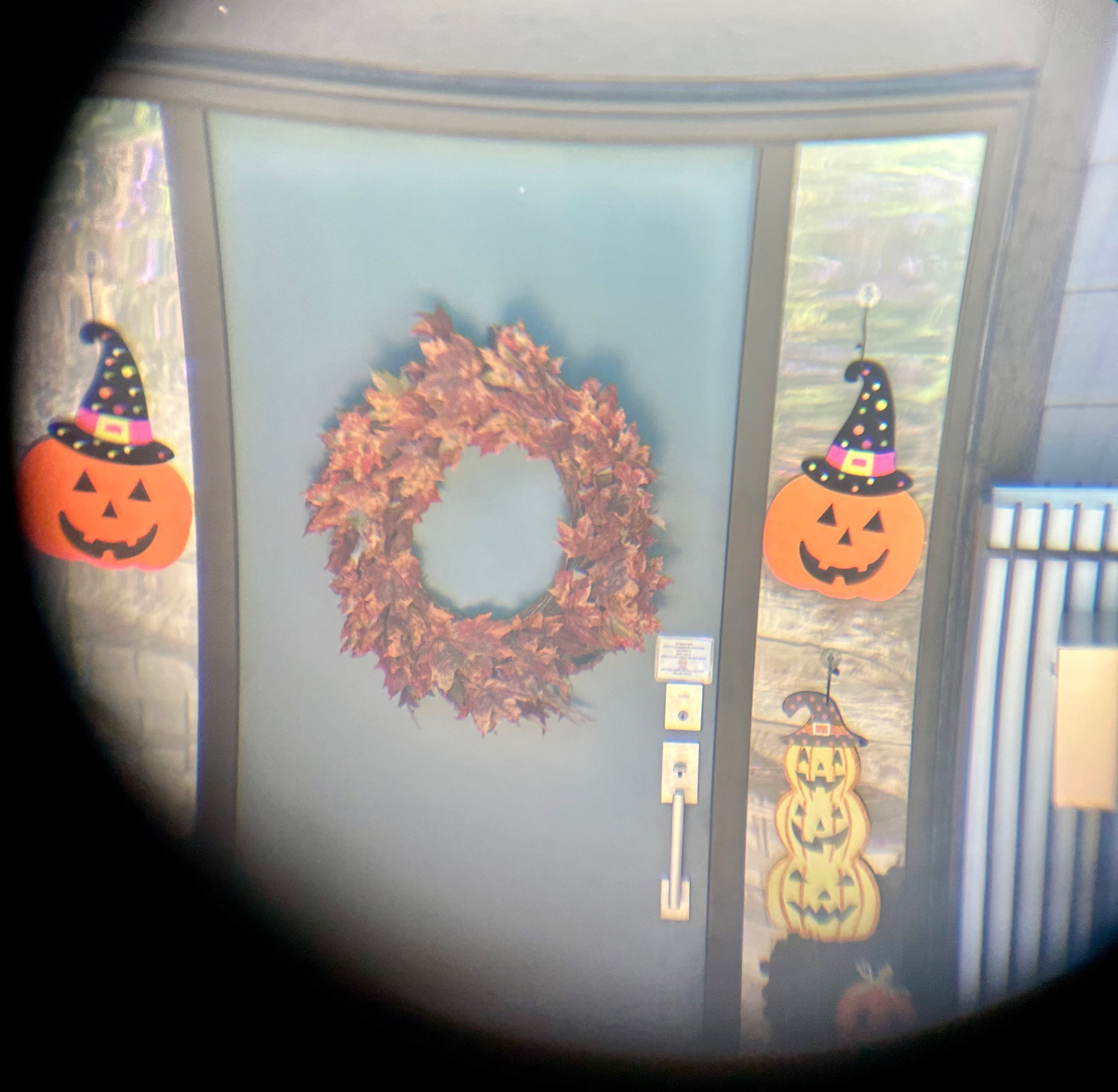 Meade 20 X 80 Binoculars  - 6 - 1761175823506_80FFF152-F970-442E-A07A-AA8928DA036B_1_201_a