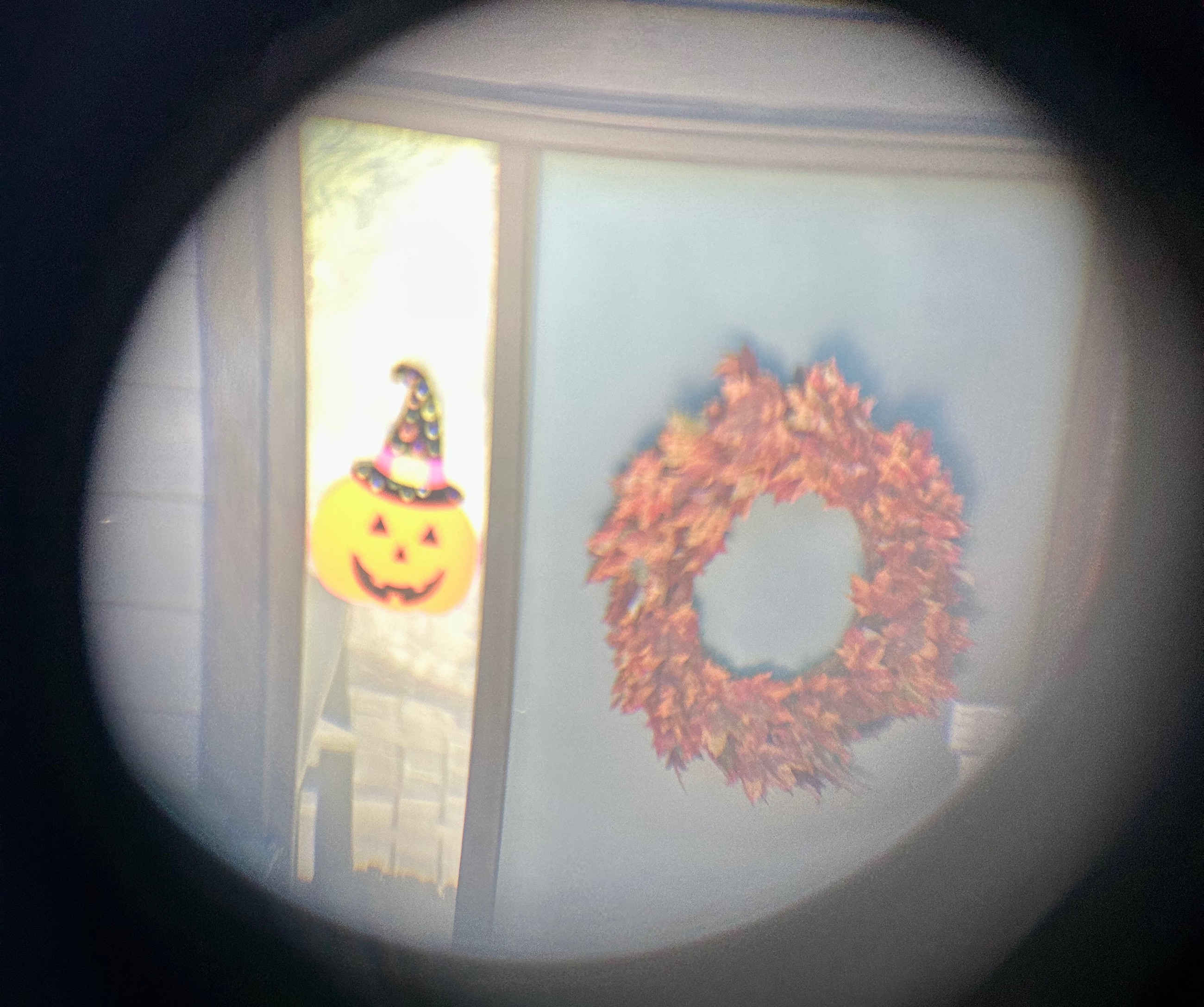 Meade 20 X 80 Binoculars  - 7 - 1761175835243_69C80925-27A6-47E2-BF7F-2B3A4B22DBBC_1_201_a