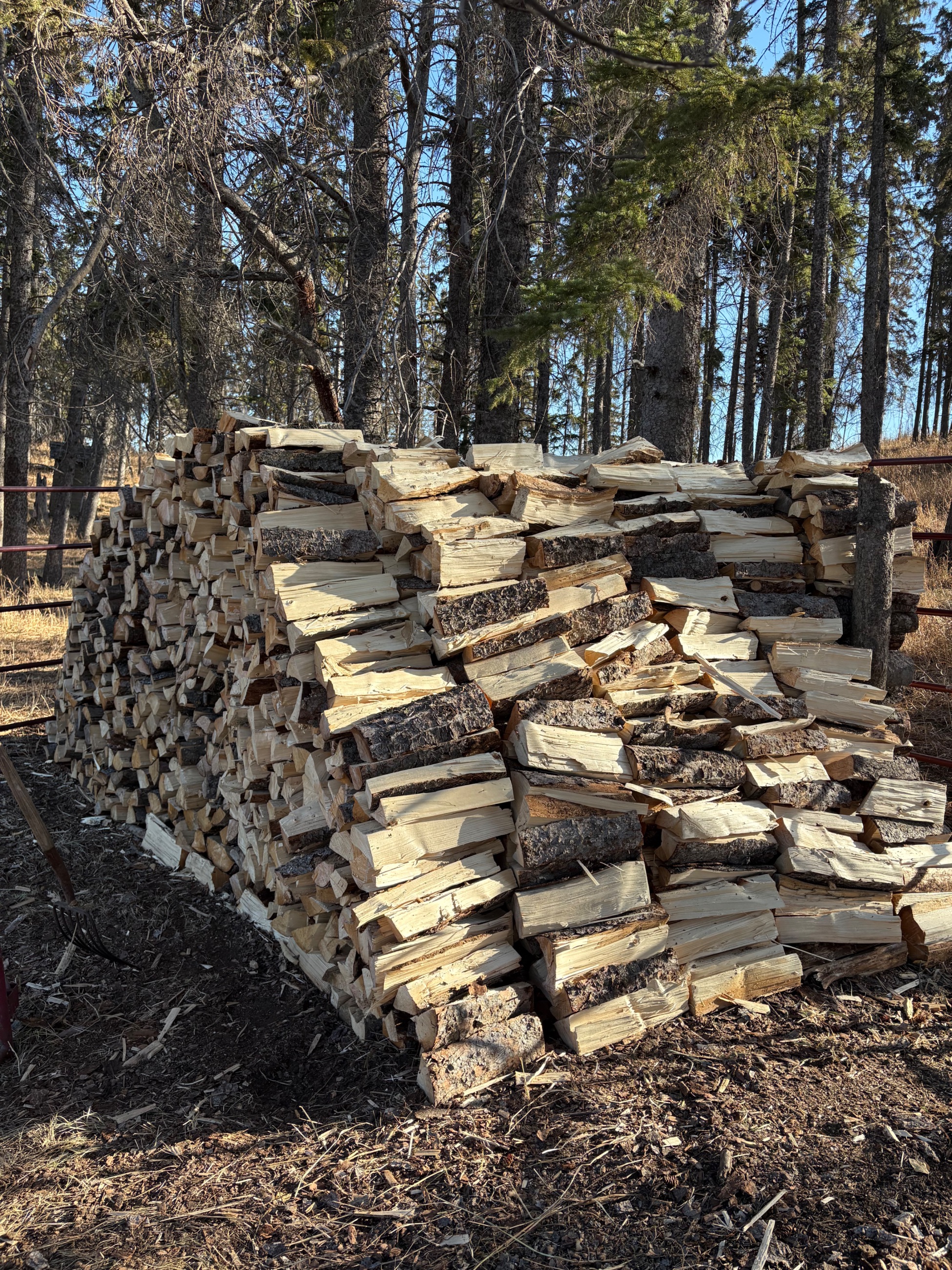 Photo of spruce fire wood for sale