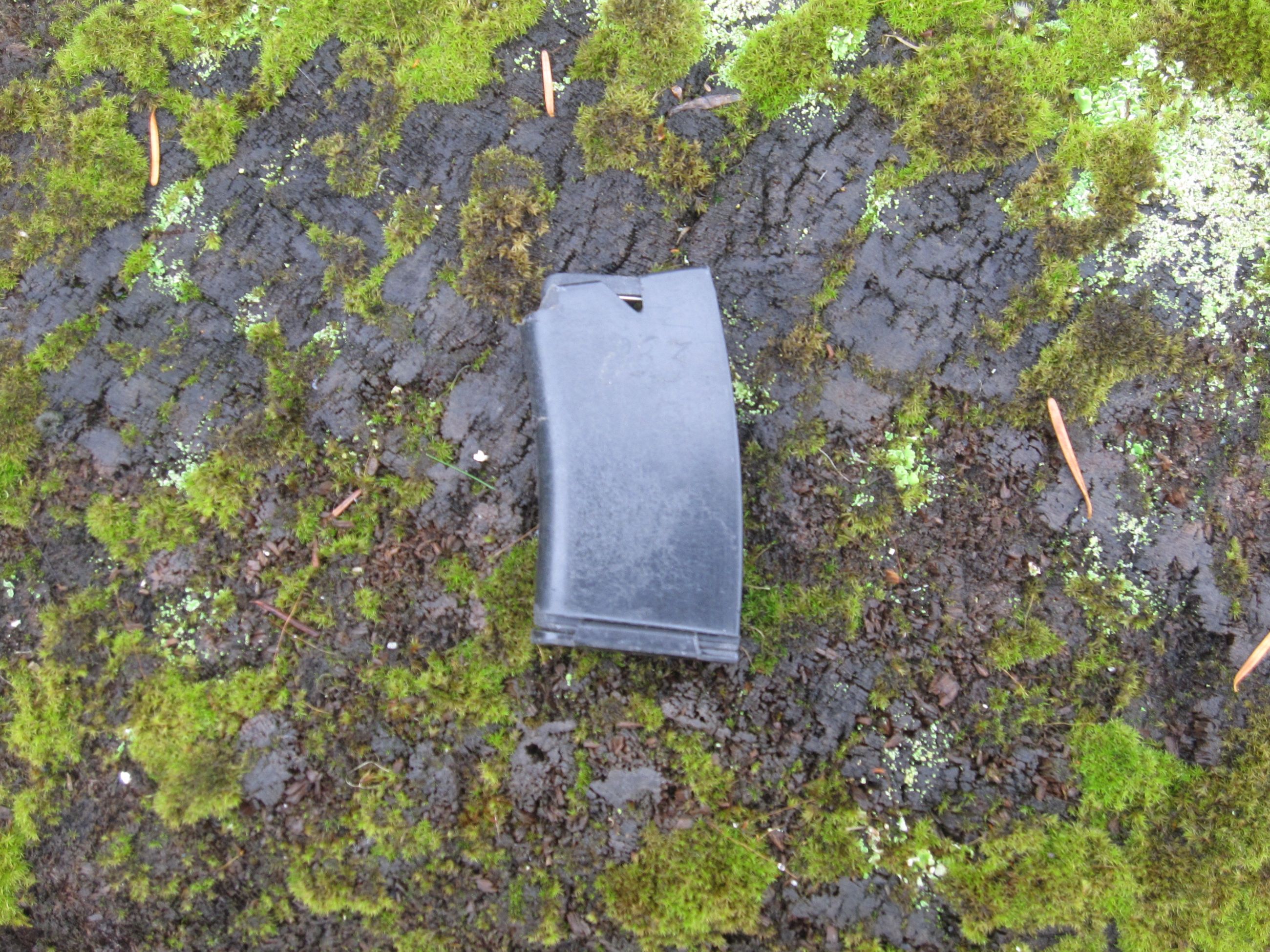 Photo of Winchester Wildcat / TOZ 78  Five Round Magazine .22 LR