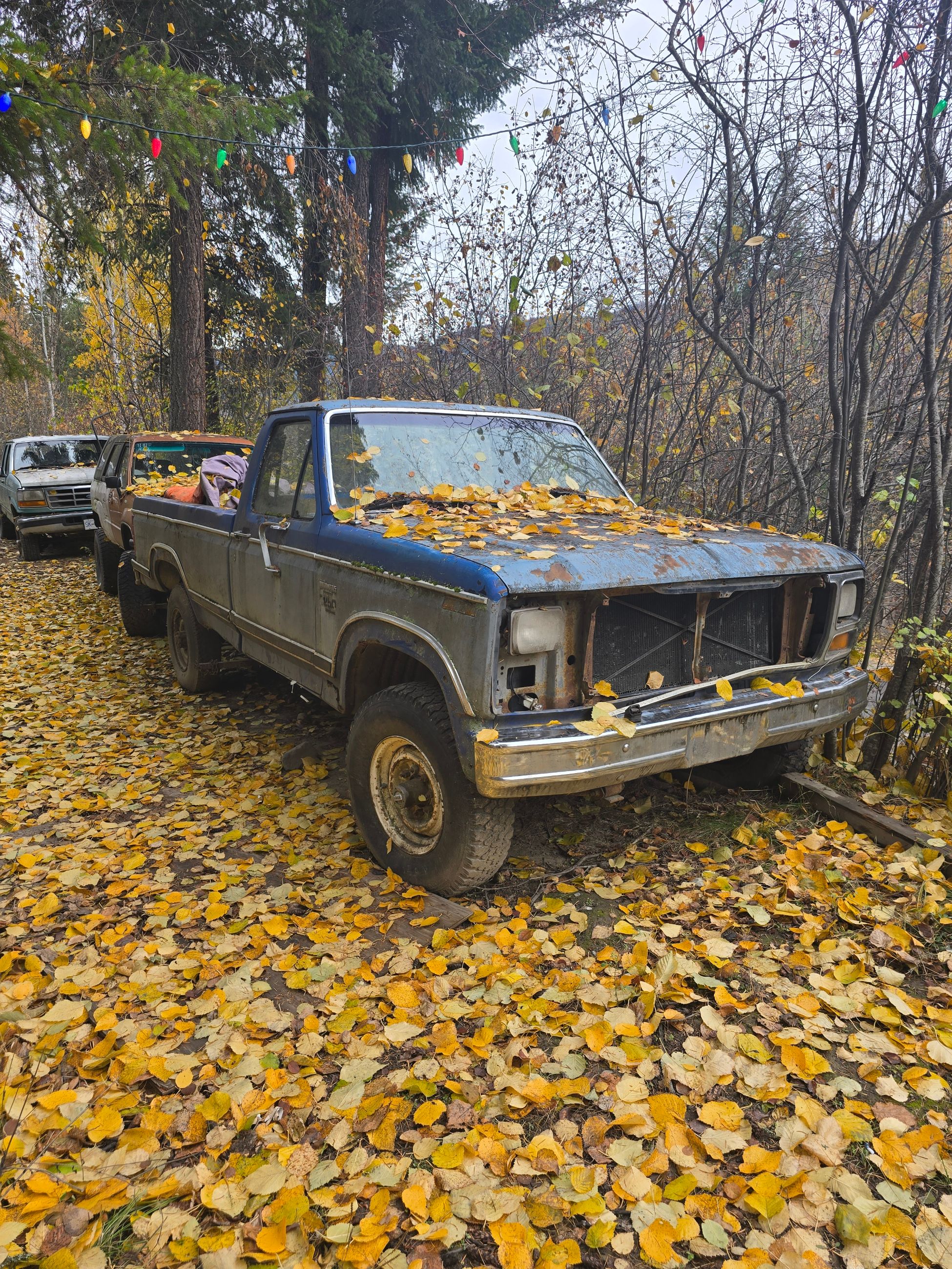 Photo of 1985 ford f250 6.9l reduced need gone