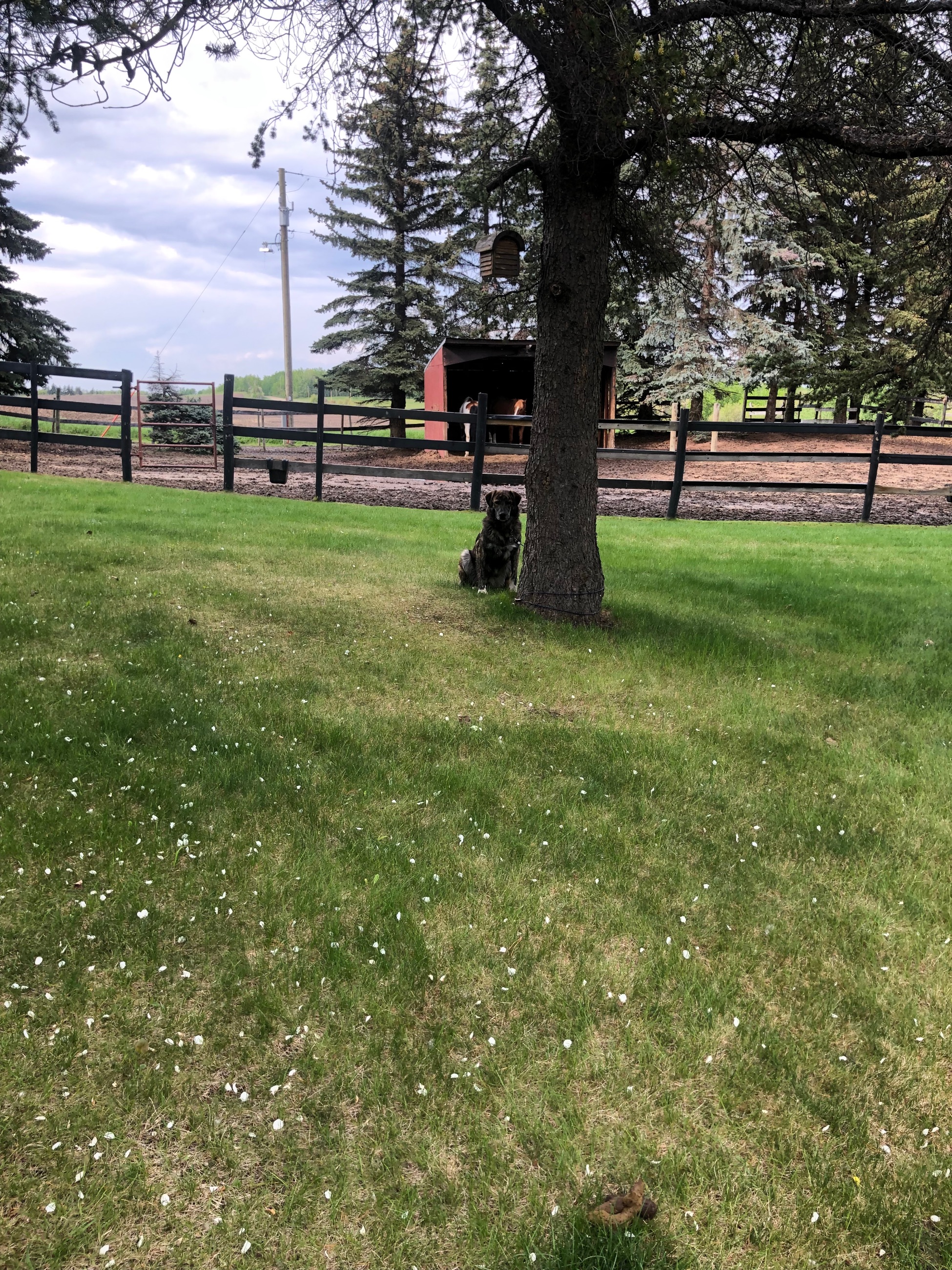 Photo of 1 Bedroom suite 17 min NW of Stony Plain AB 