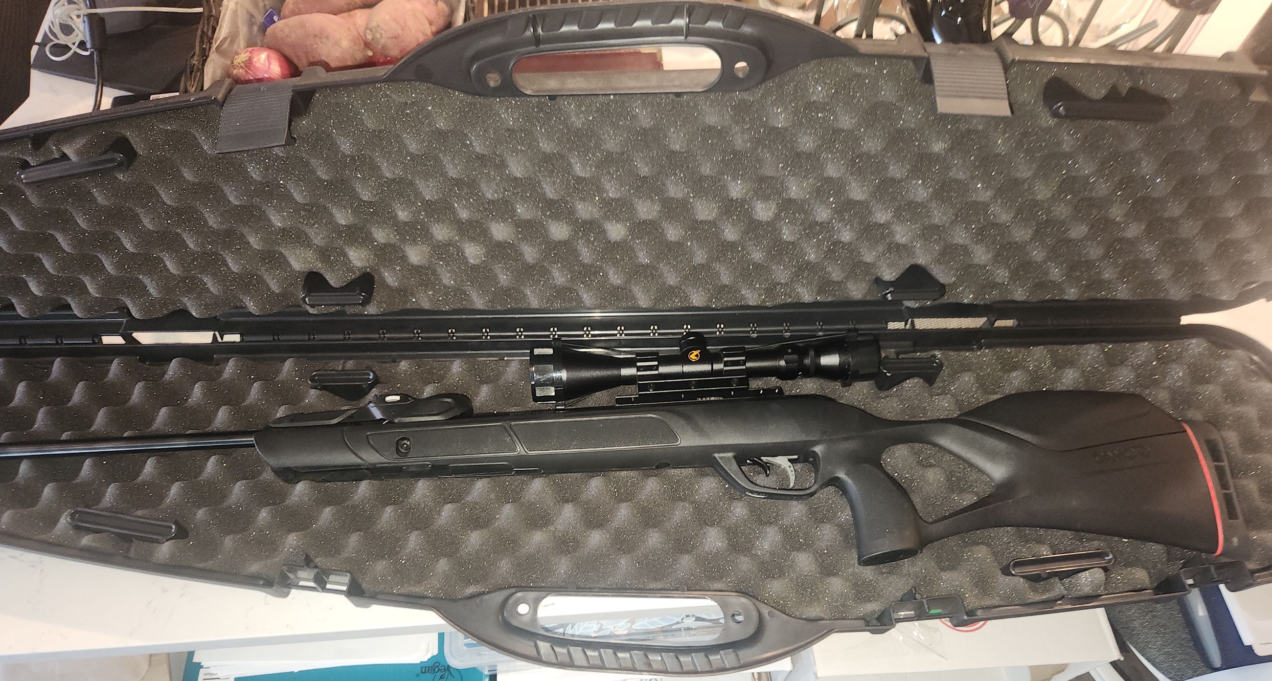 GAMO REPLAY MAGNUM 10x GEN 2 .177    -  1650 fps (PAL REQUIRED) - 4 - 1761606220937_GAMO