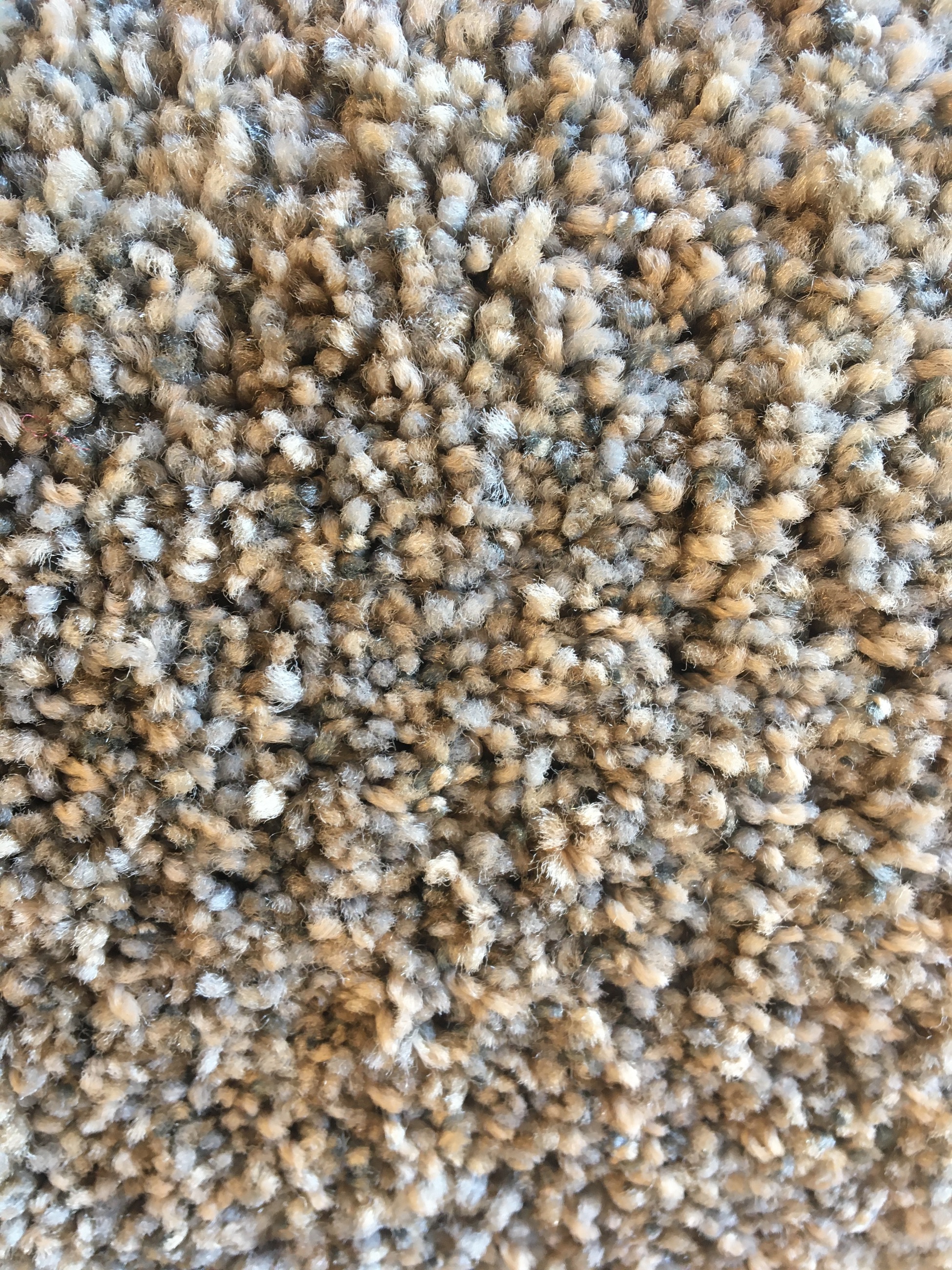 Photo of CARPET Brand New 10’2” X 12