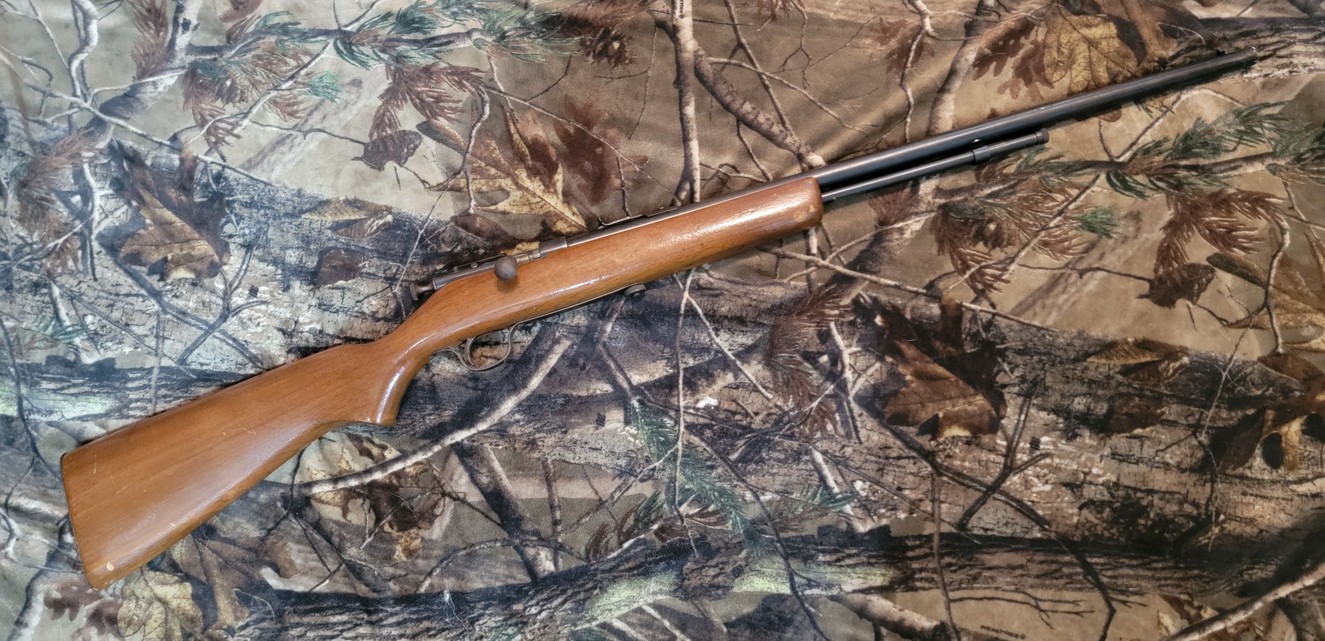 Photo of Cooey model 60