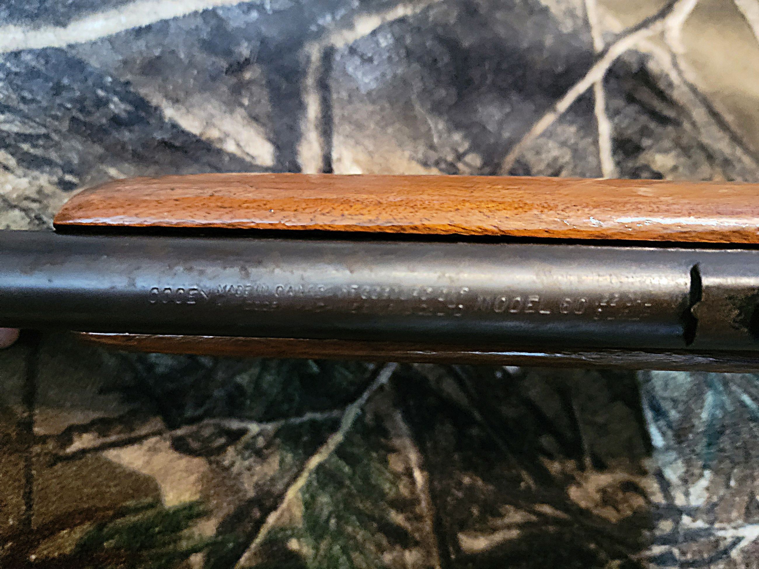 Cooey model 60 - 2 - 1761757131304_1000025145