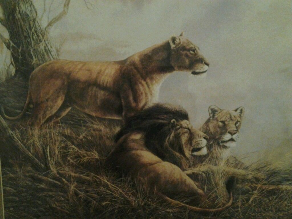 Photo of Forbidden Territory by Ruane Manning