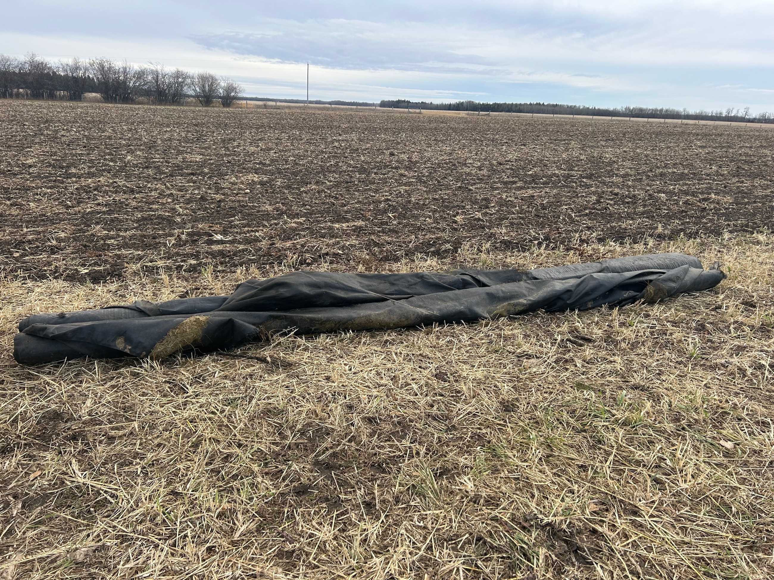 Photo of Ground cloth 