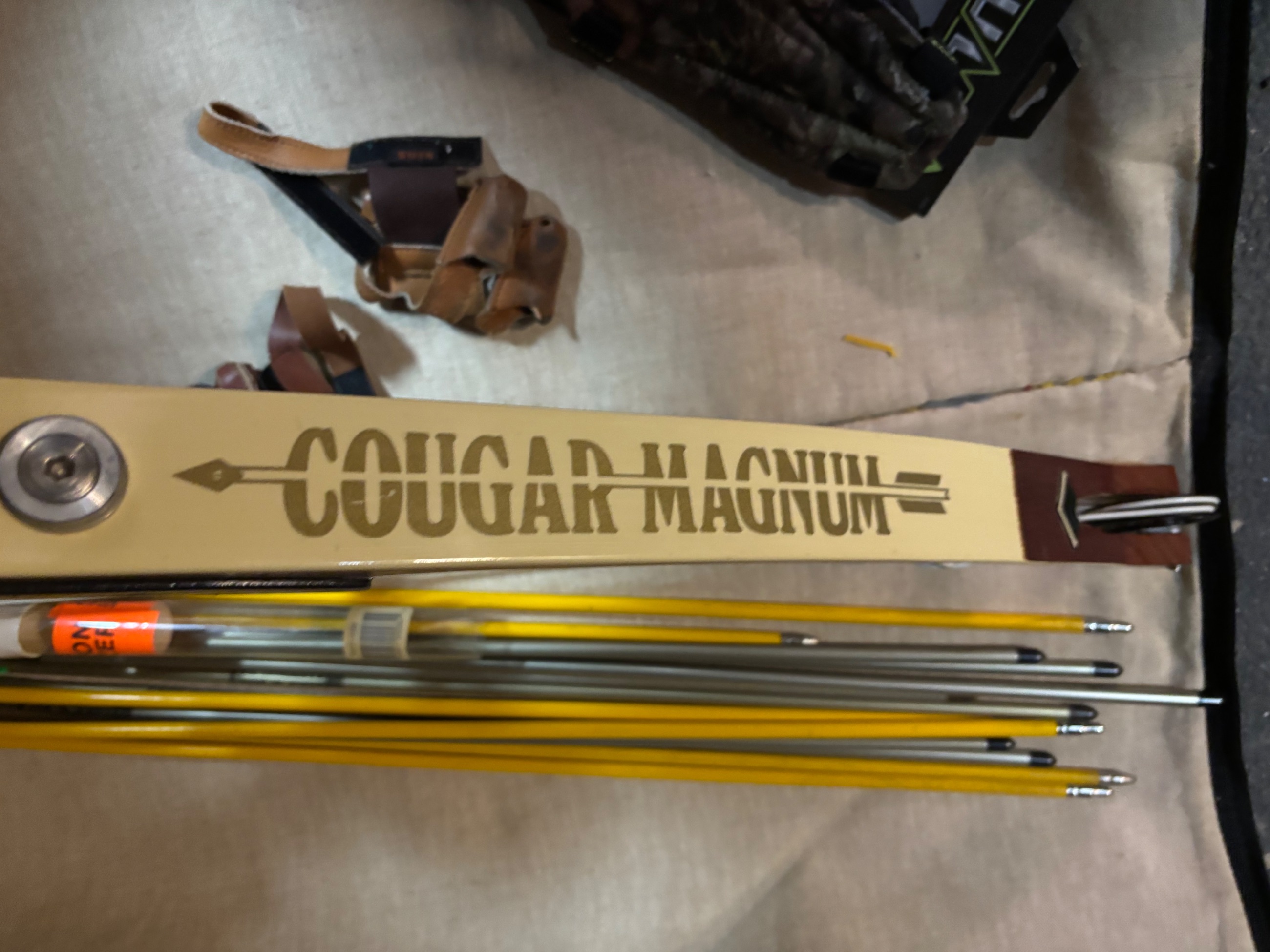 Photo of Martin archery compound 