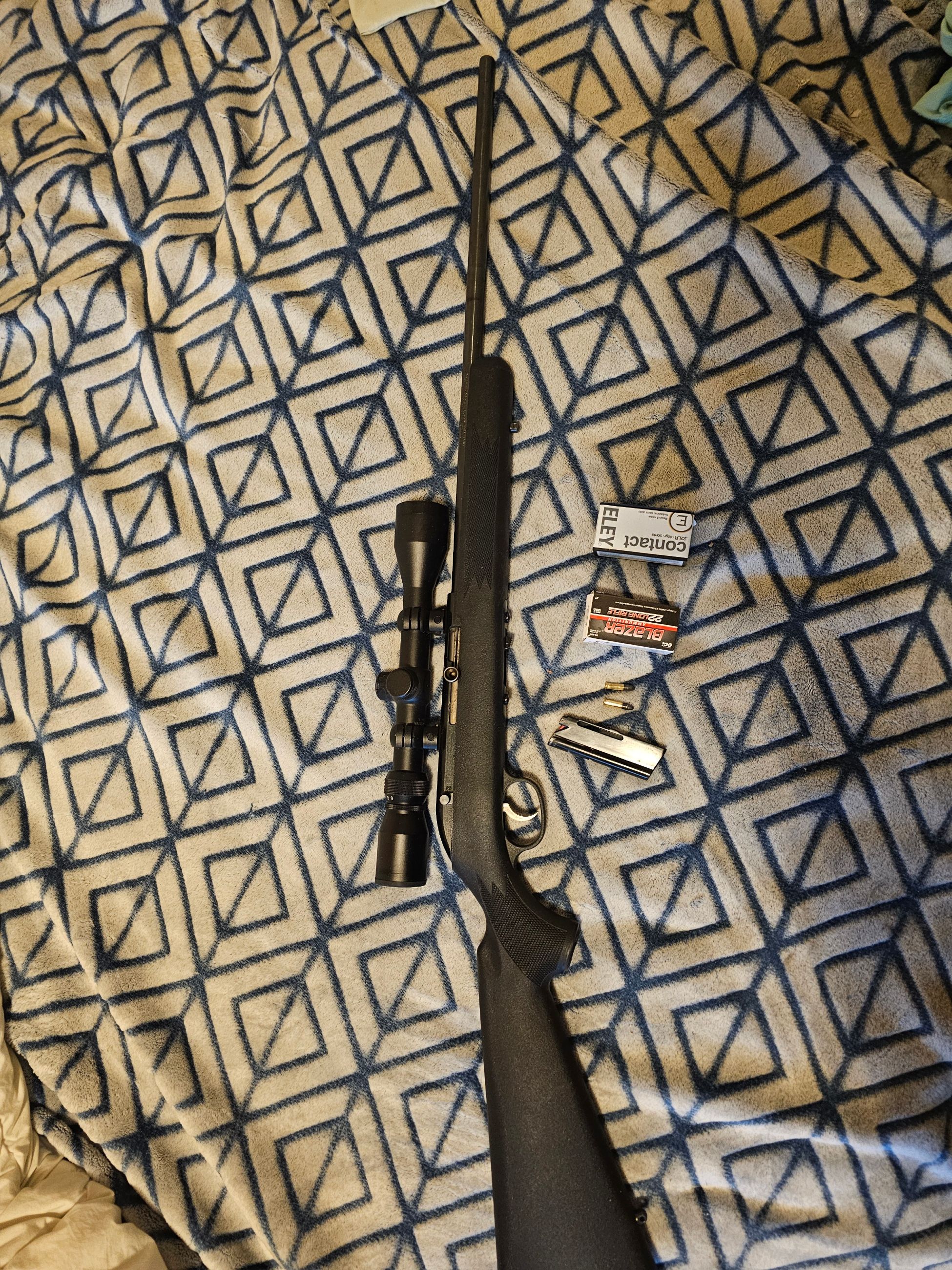 savage 22b with scope sighted - 2 - 1762371585620_20251104_160018