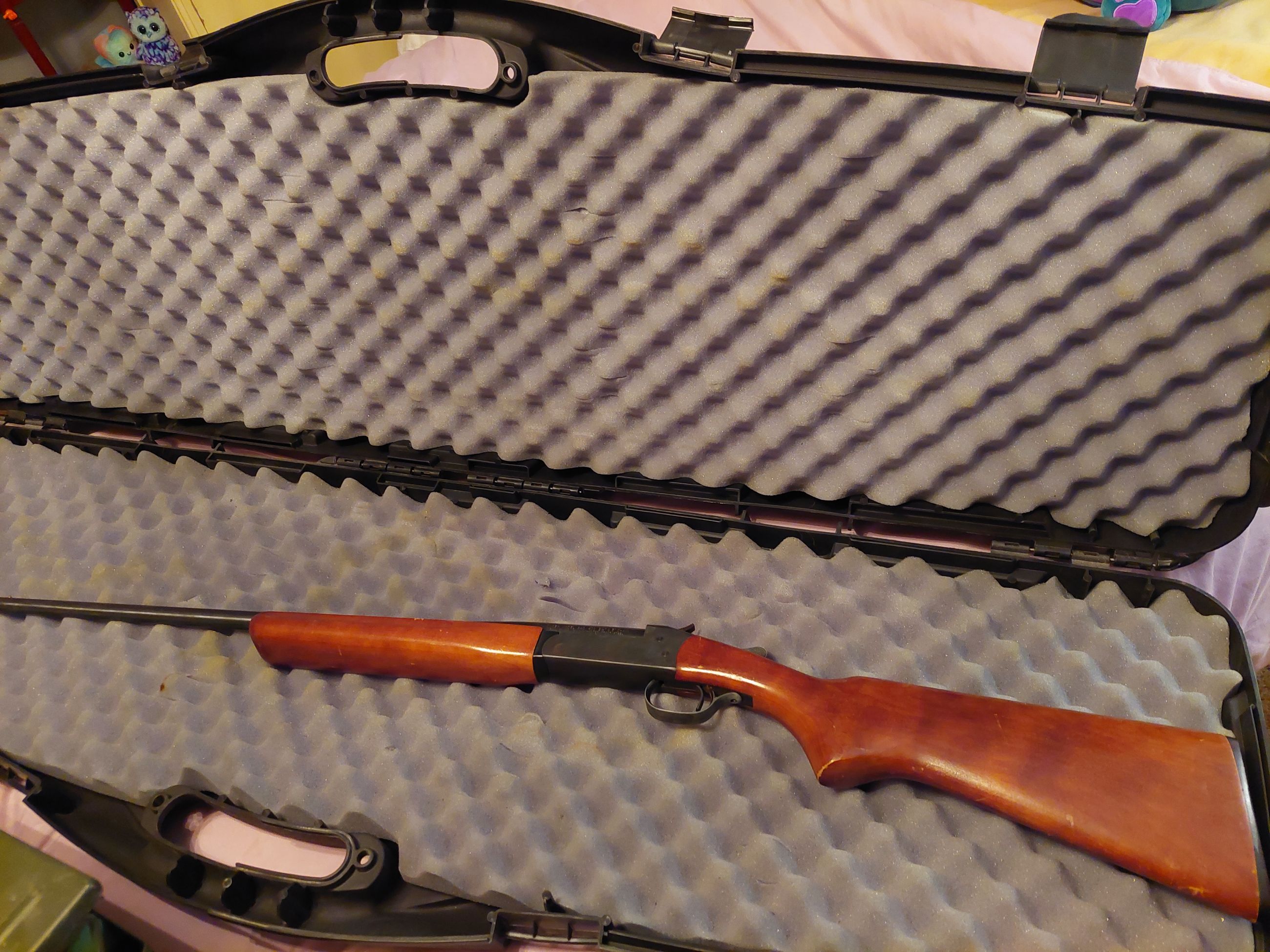 Photo of 410 Shotgun