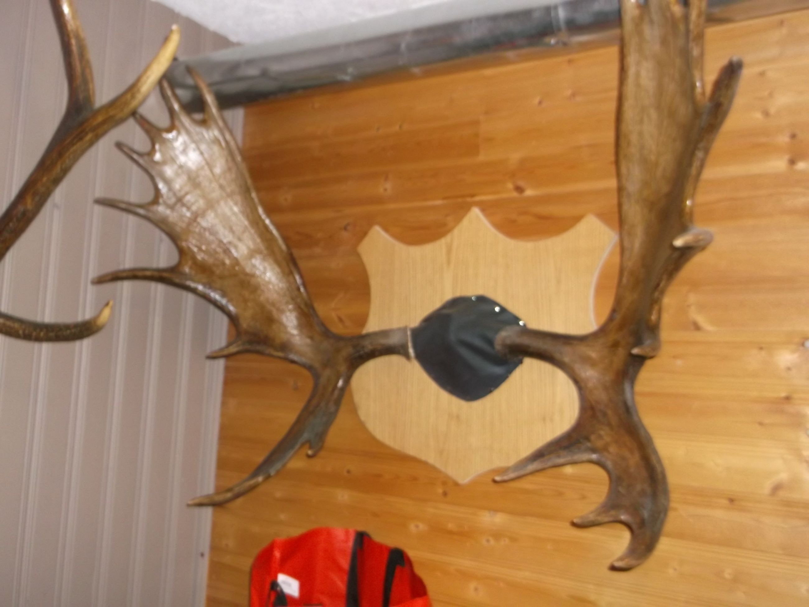 Photo of Ammunition and Magazines for sale