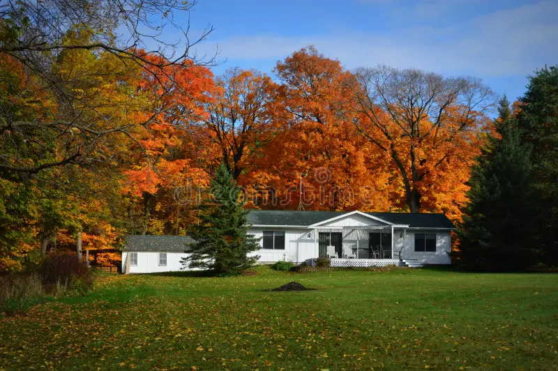 Photo of WTB/ISO Acreage under $500k within 100km of Rimbey