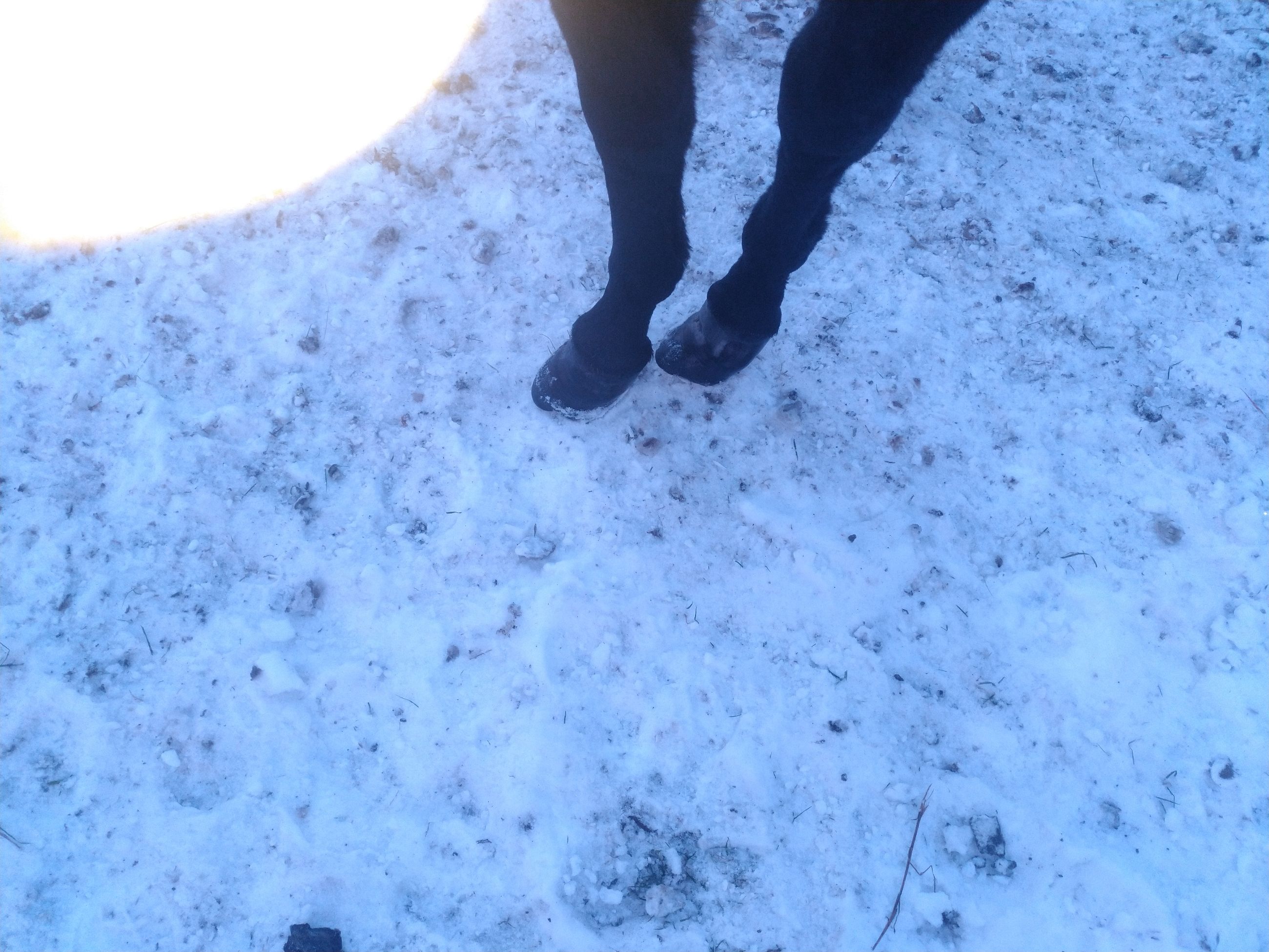 Gorgeous Jenny  - 5 - 1763060244358_IMG_20251112_160403