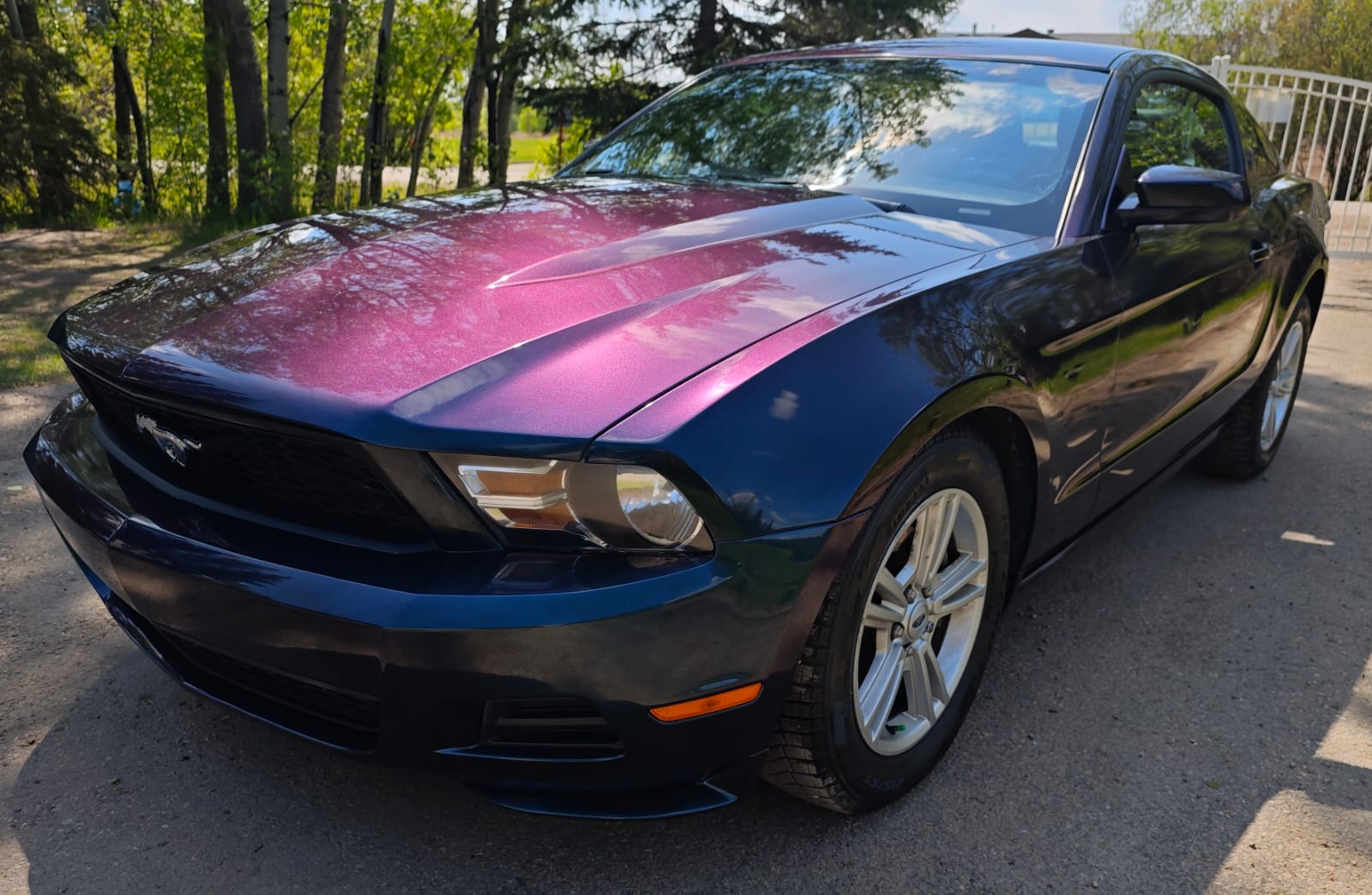 Photo of 2012 Ford Mustang V-6, Original Owner, Low km, Great Shape