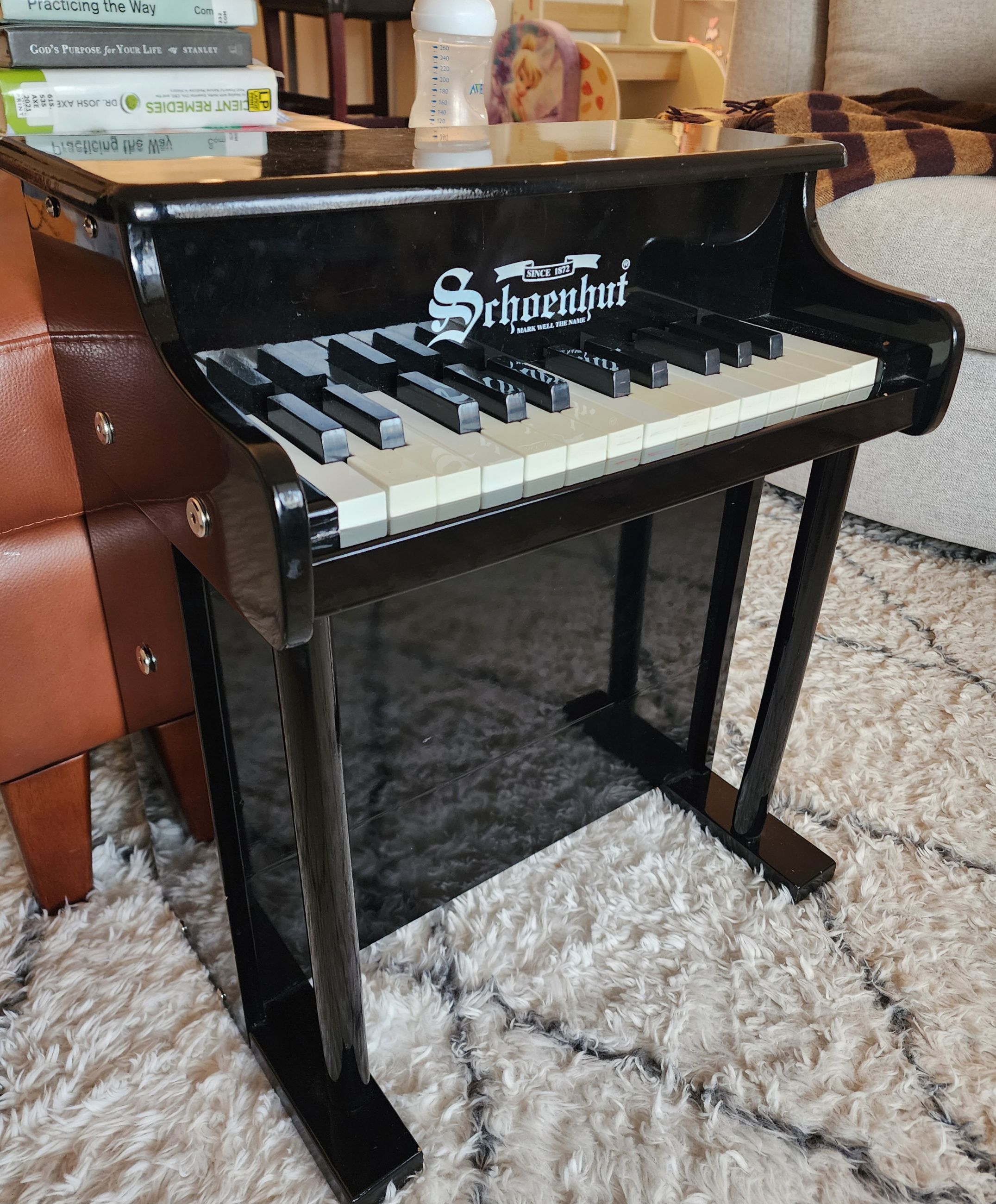 Photo of Srhoenhut mini upright piano