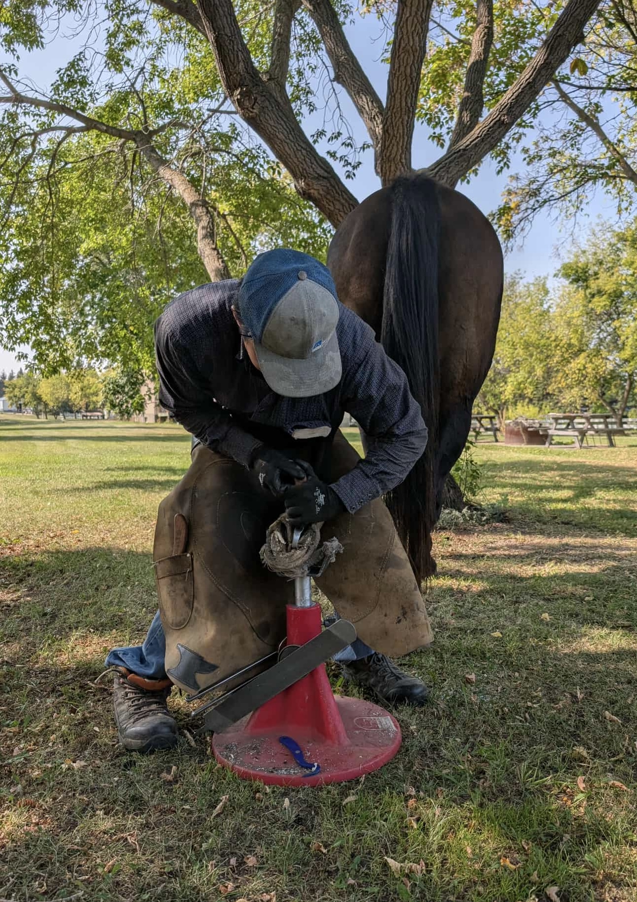 Photo of Ry’s TLC HOOFCARE