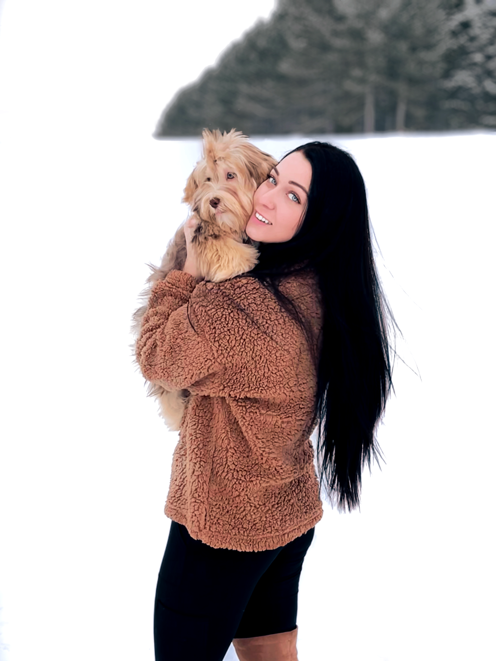 Havanese Puppies  - 11 - 1763563960857_IMG_1673_Facetune_06-01-2022-16-01-25