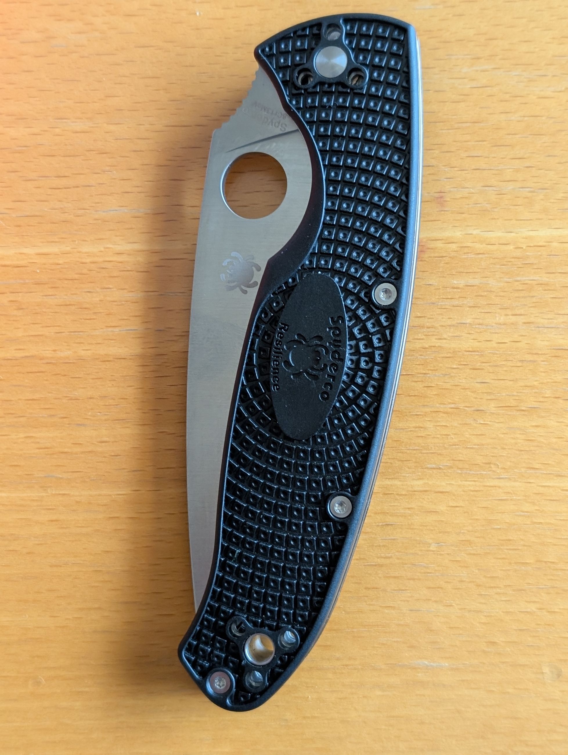 Photo of Spiderco Resilience knife
