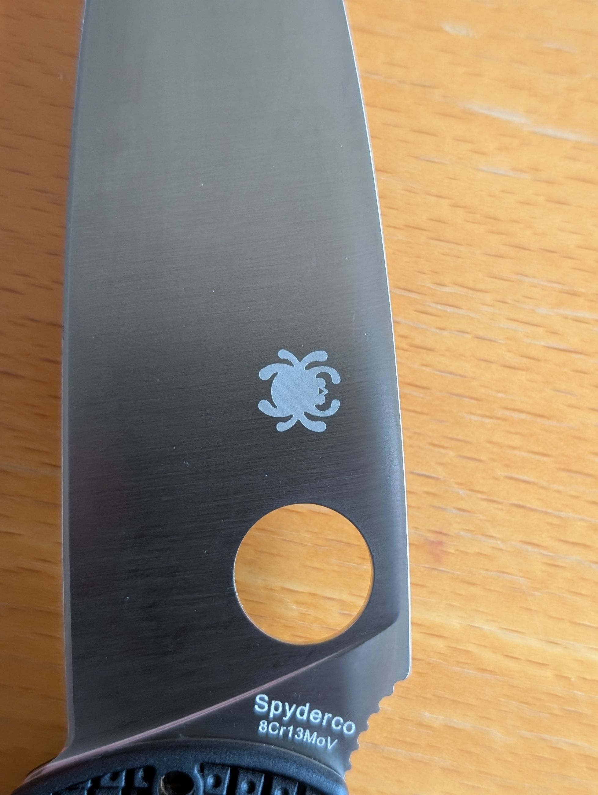 Photo of Spiderco Resilience knife