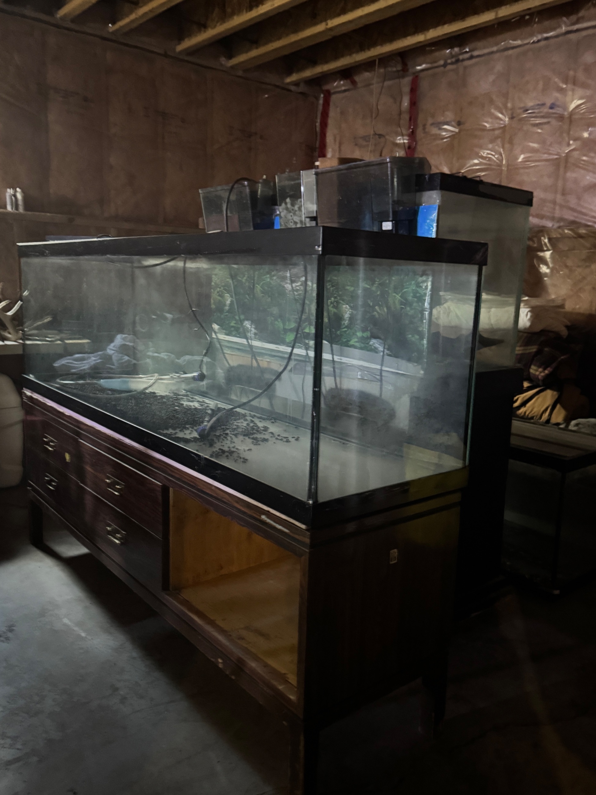 Photo of Freshwater Aquariums and accessories 