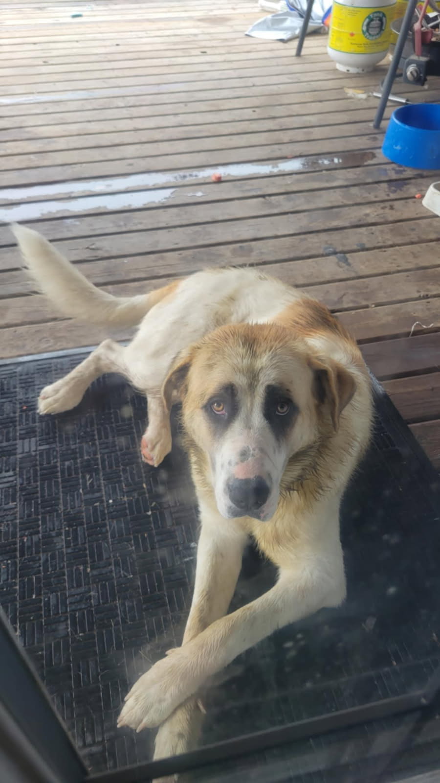 Photo of Free to good home