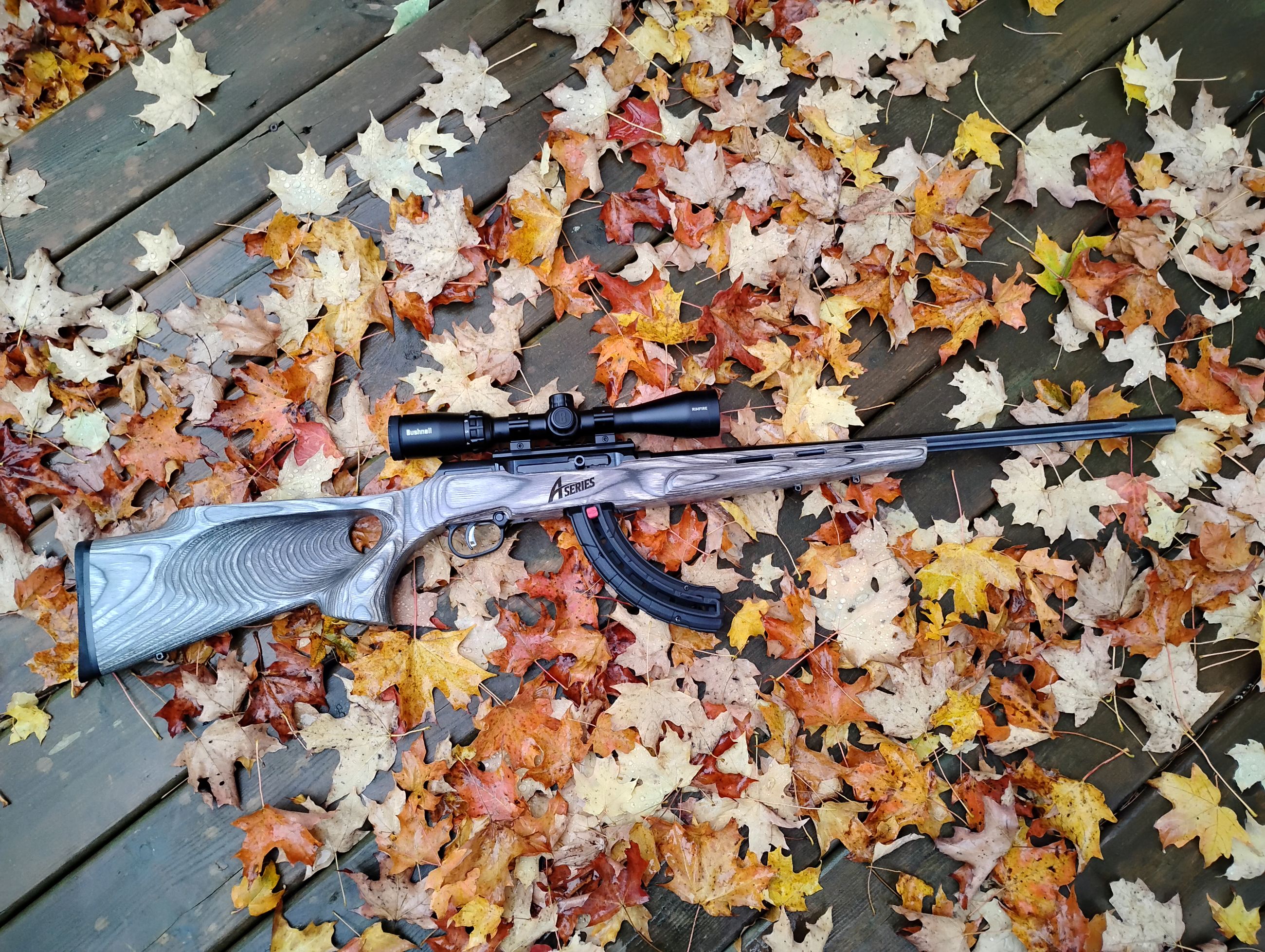 Photo of Semi automatic .22 trades considered 