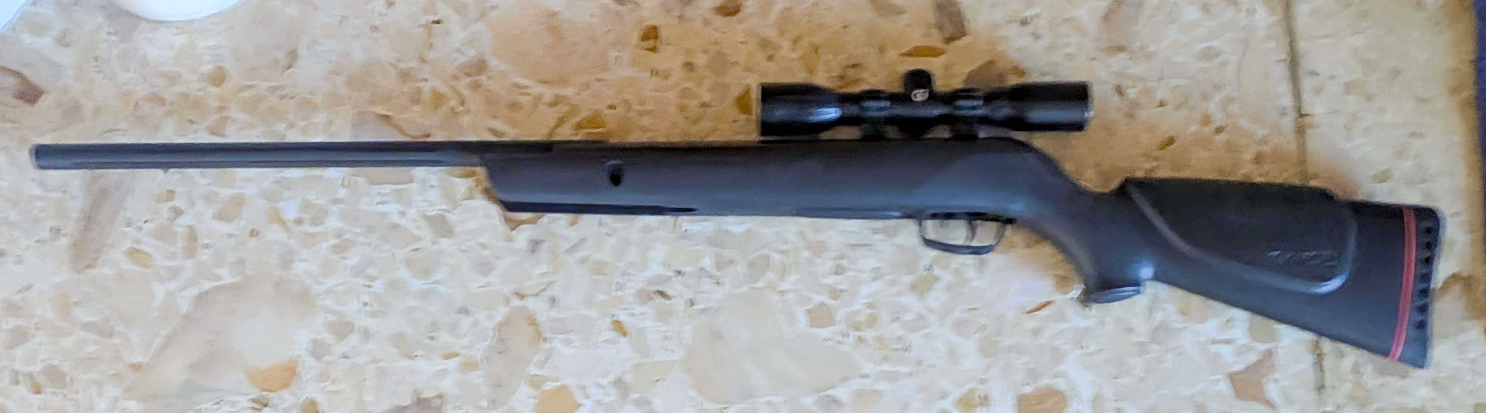 Photo of Gamo Varmint in .177