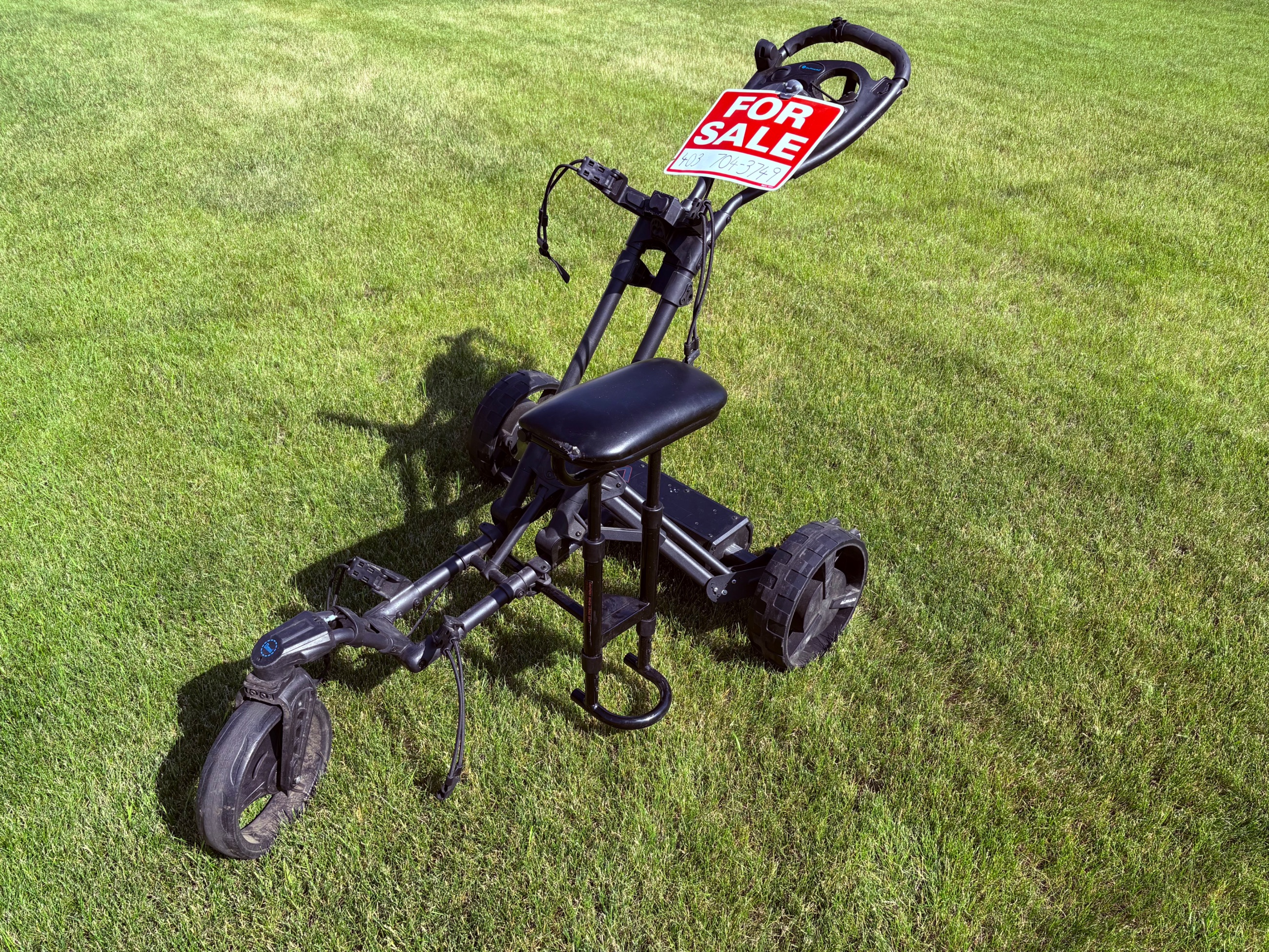 Photo of Alphard golf cart