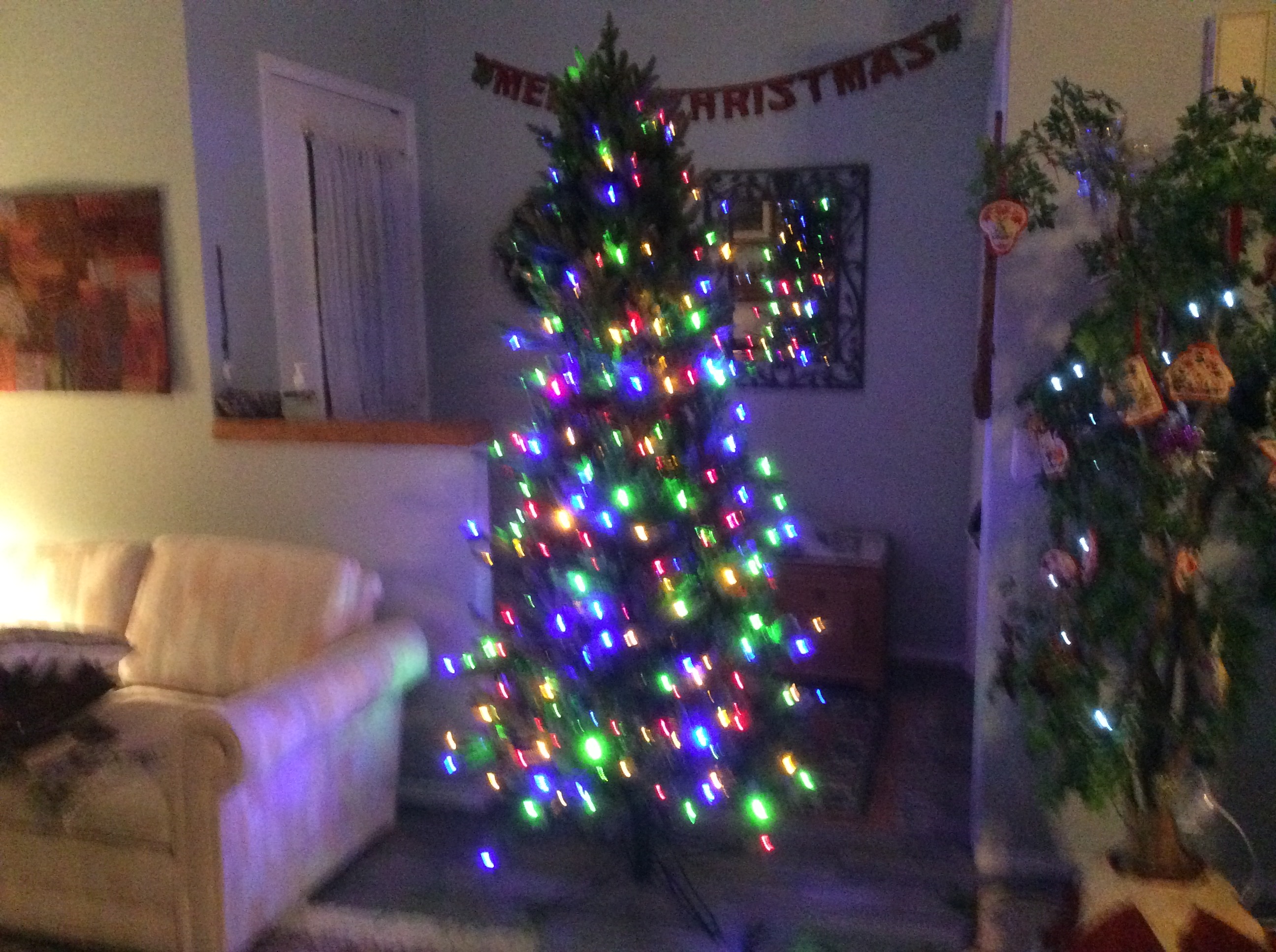 Photo of Christmas tree with lights.