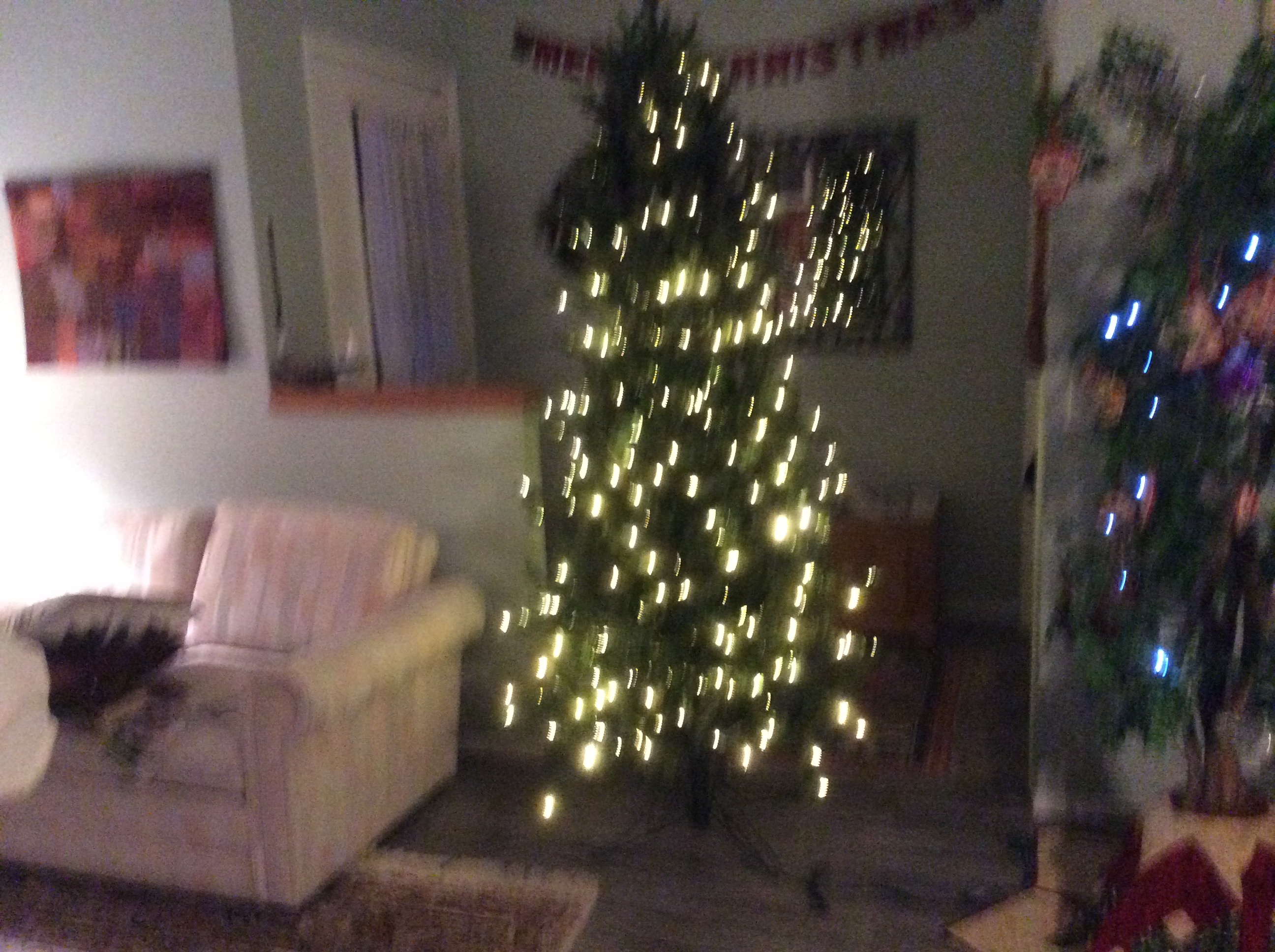 Photo of Christmas tree with lights.