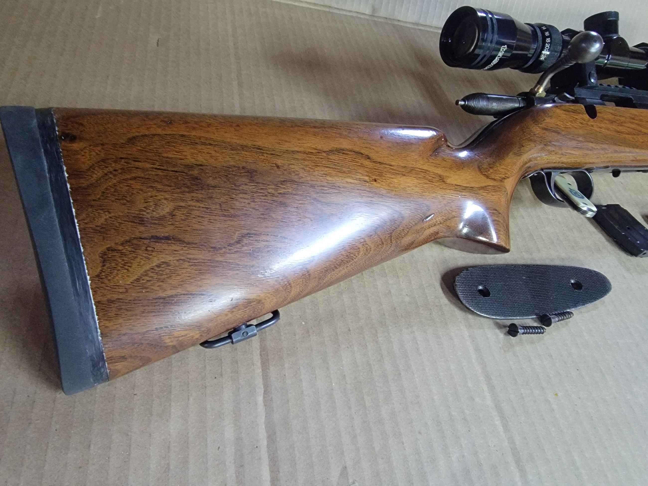 Remington 513-T with 6-24 Japanese Scope - 5 - 1764795825405_2945