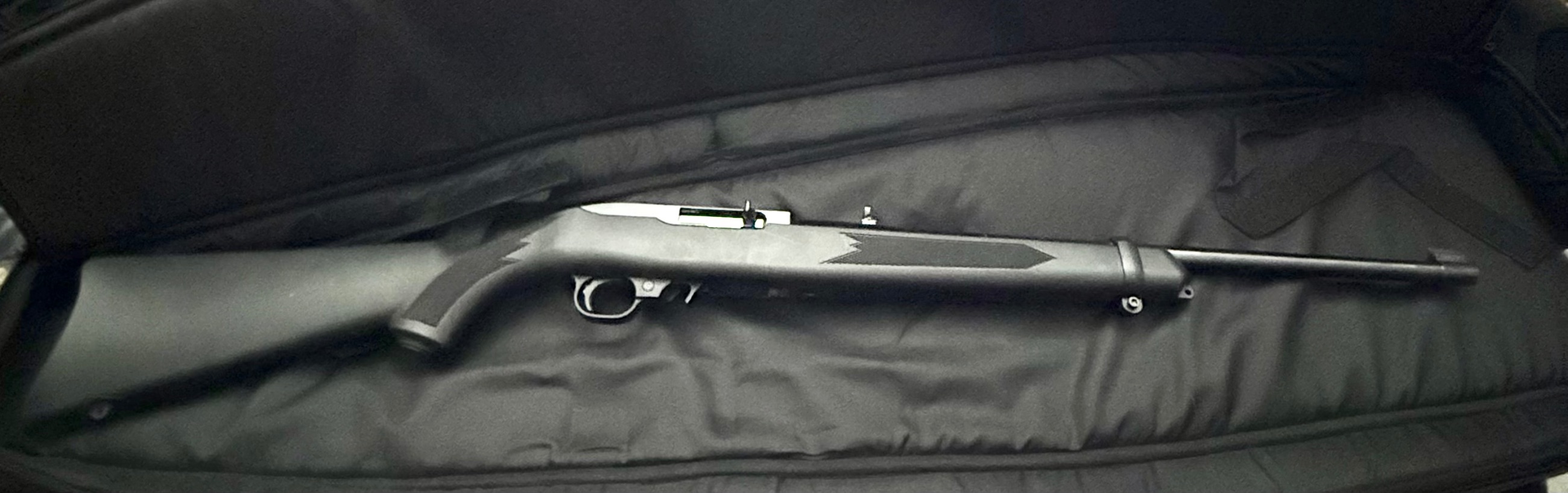 Photo of RUGER 10-22 