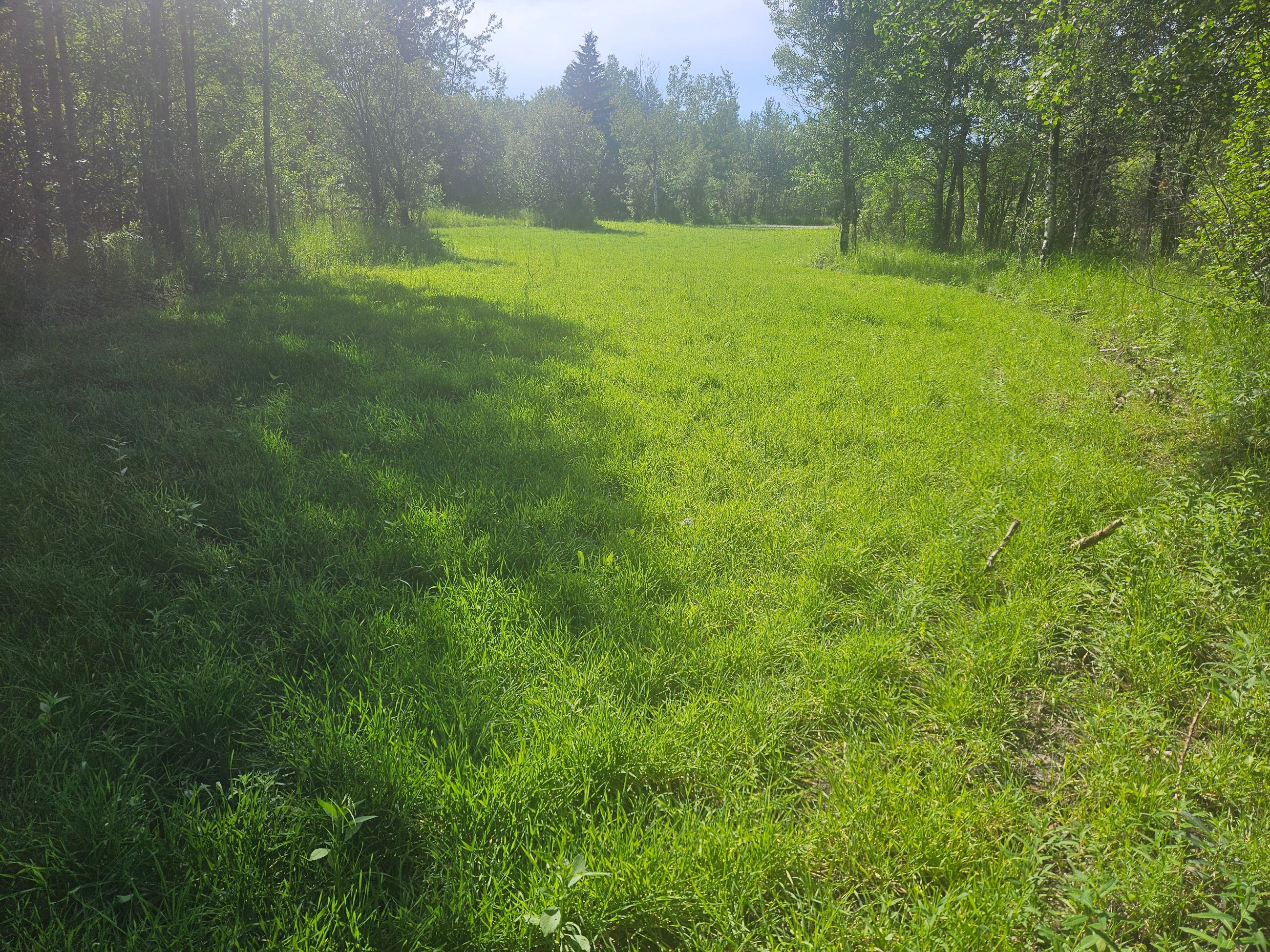 Photo of Recreation Quarter