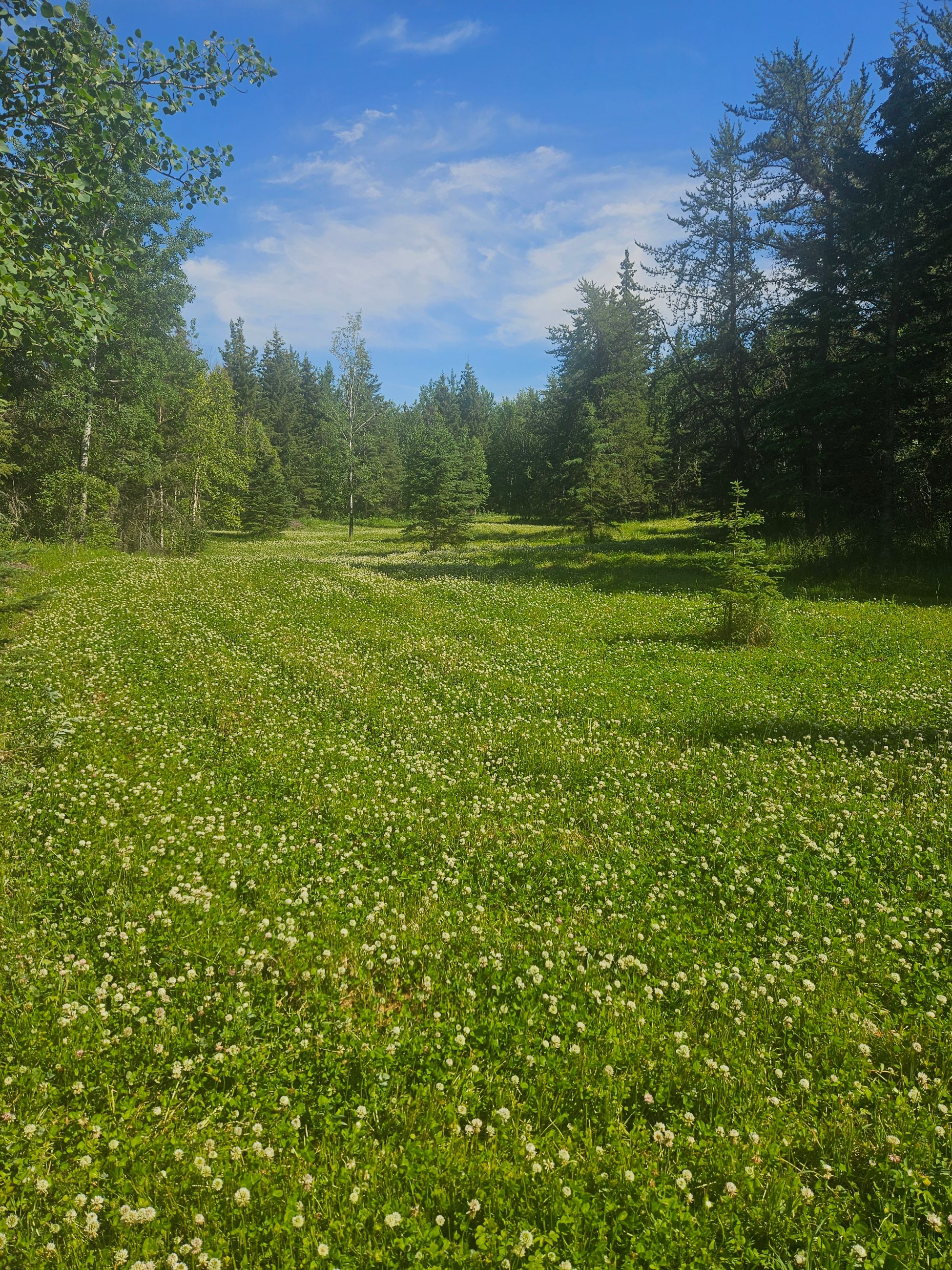 Photo of Recreation Quarter