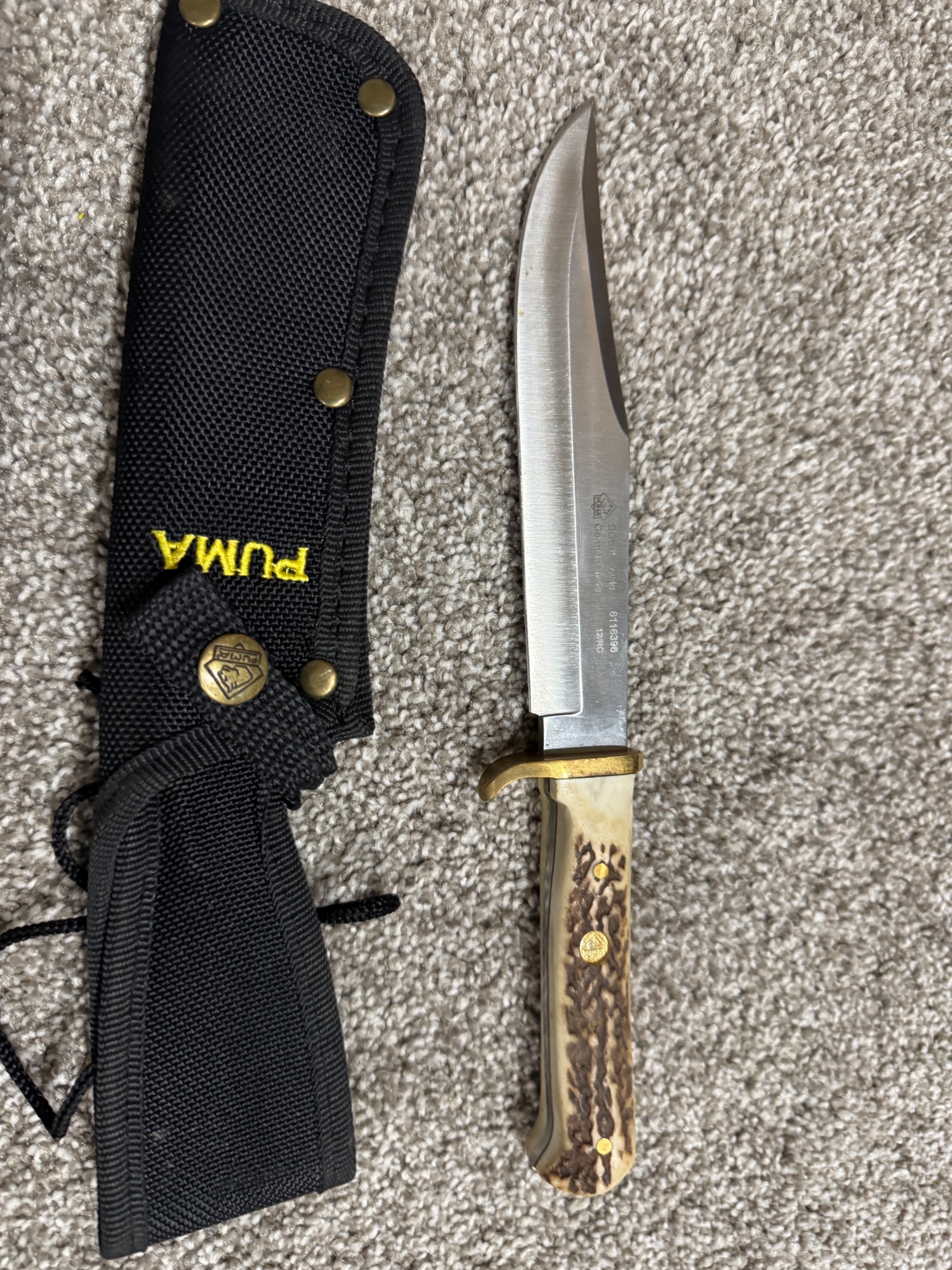 Photo of Puma Bowie 