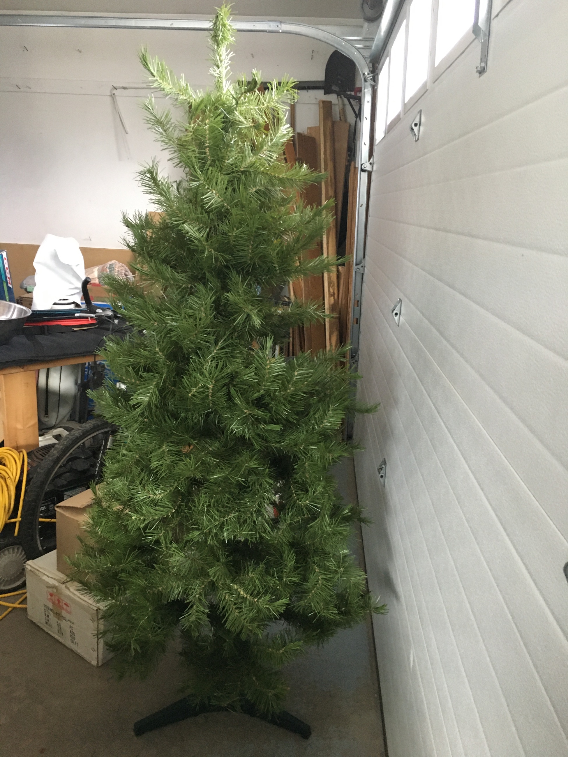 Photo of Christmas tree