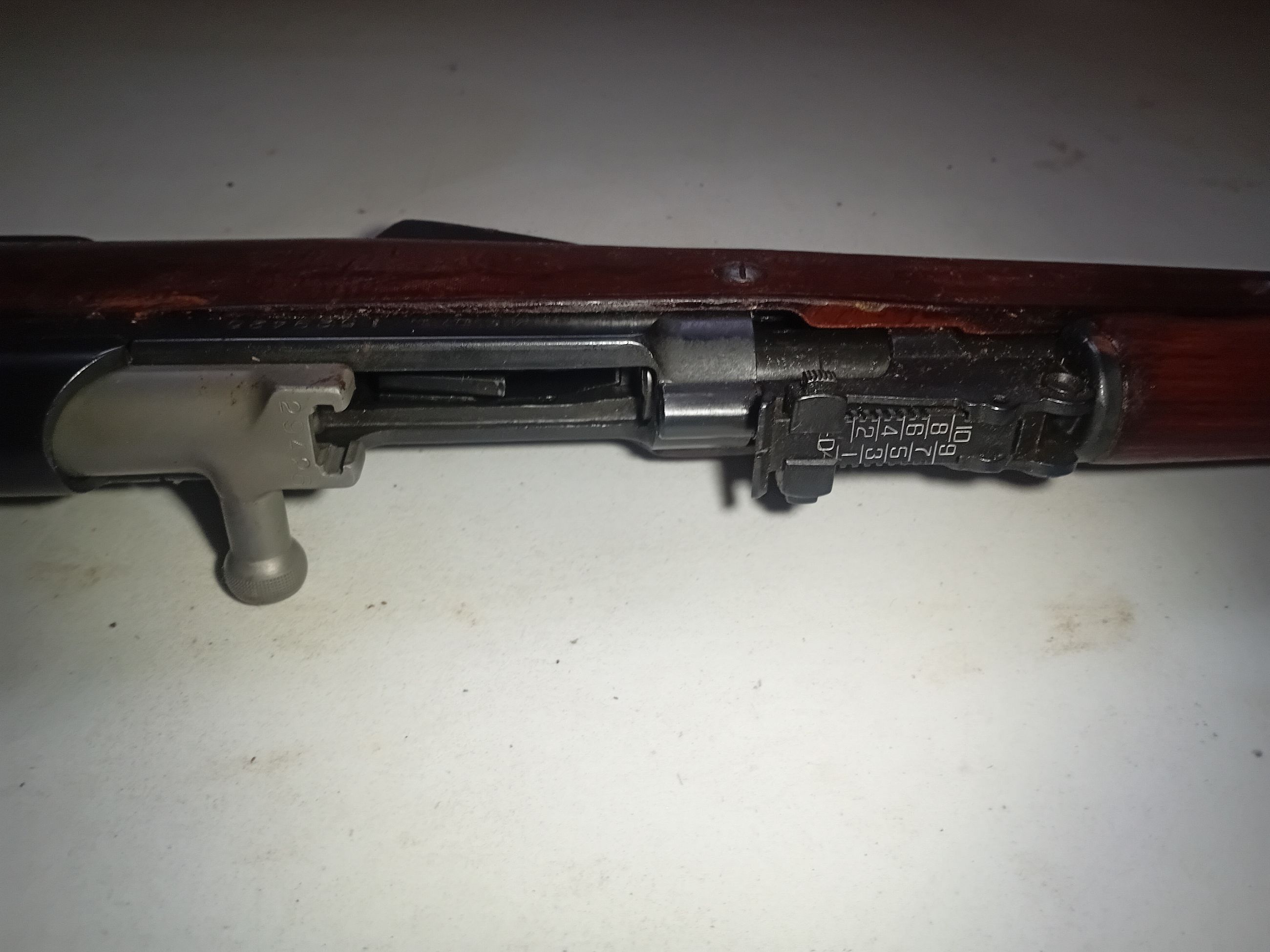 Chinese sks - 5 - 1765578054689_1000004652