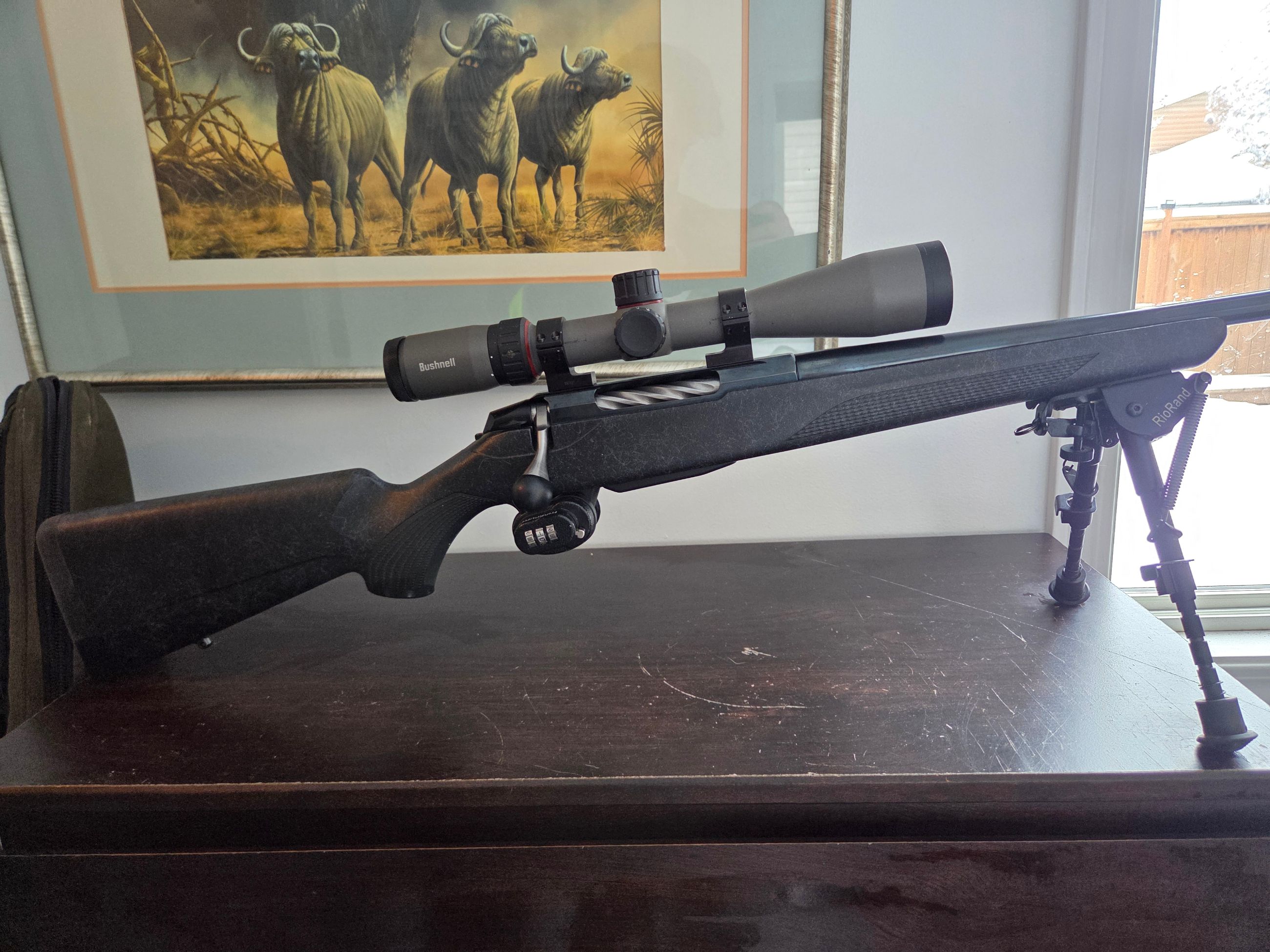 Photo of .300 win mag tikka t3x roughtek