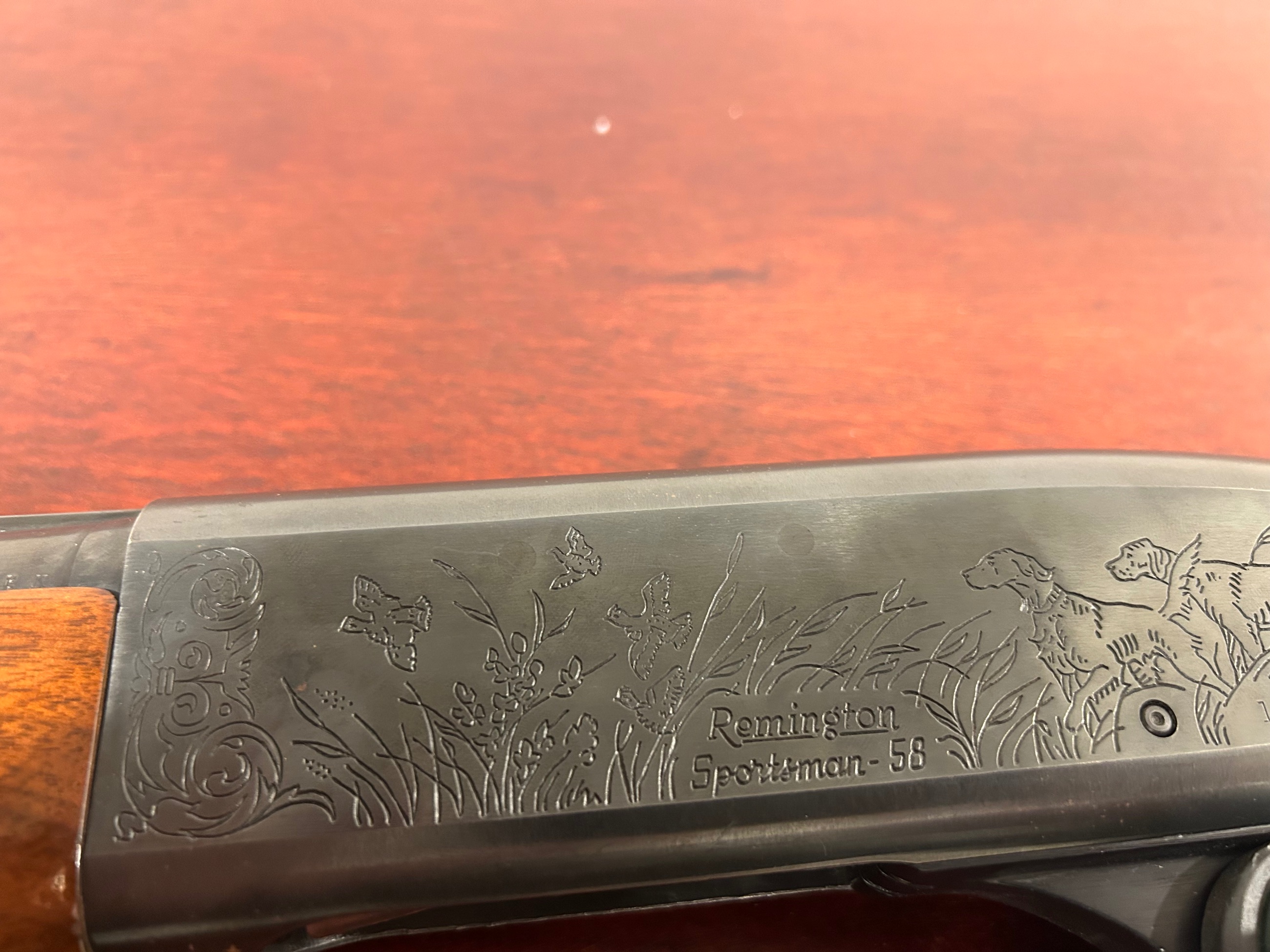 Photo of Remington Sportsman 58 12 ga