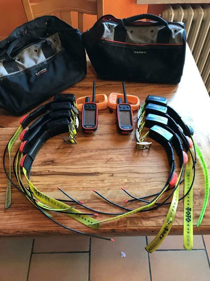 Photo of Garmin Alpha 100 and tt15 collar