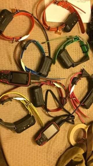 Photo of Garmin Alpha 100 and tt15 collar