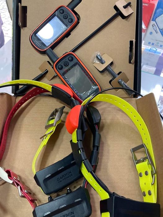 Photo of Garmin Alpha 100 and tt15 collar