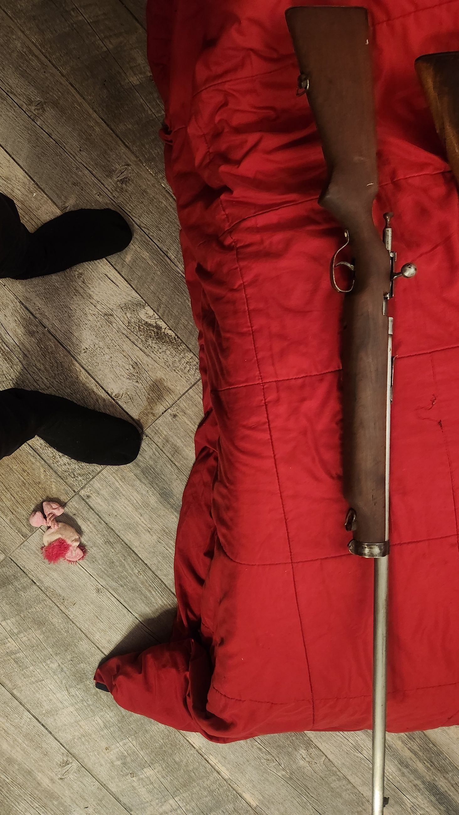 Photo of .22 cooey model 82