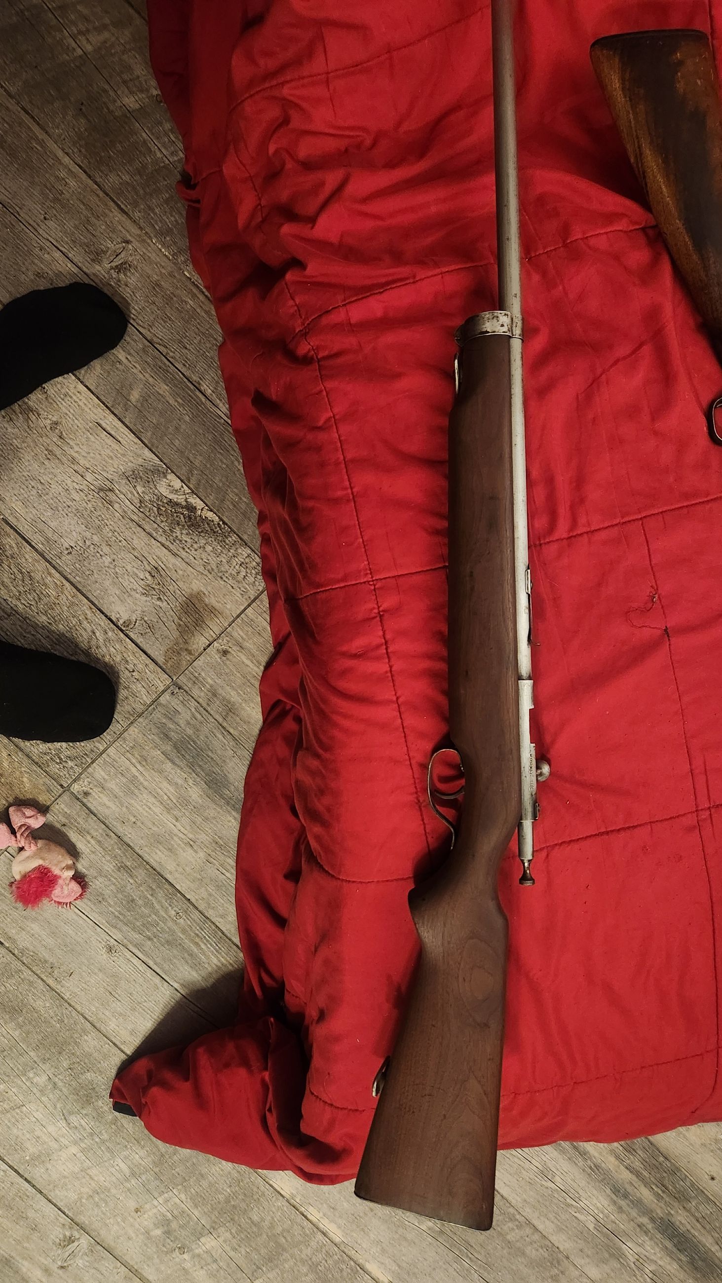 Photo of .22 cooey model 82