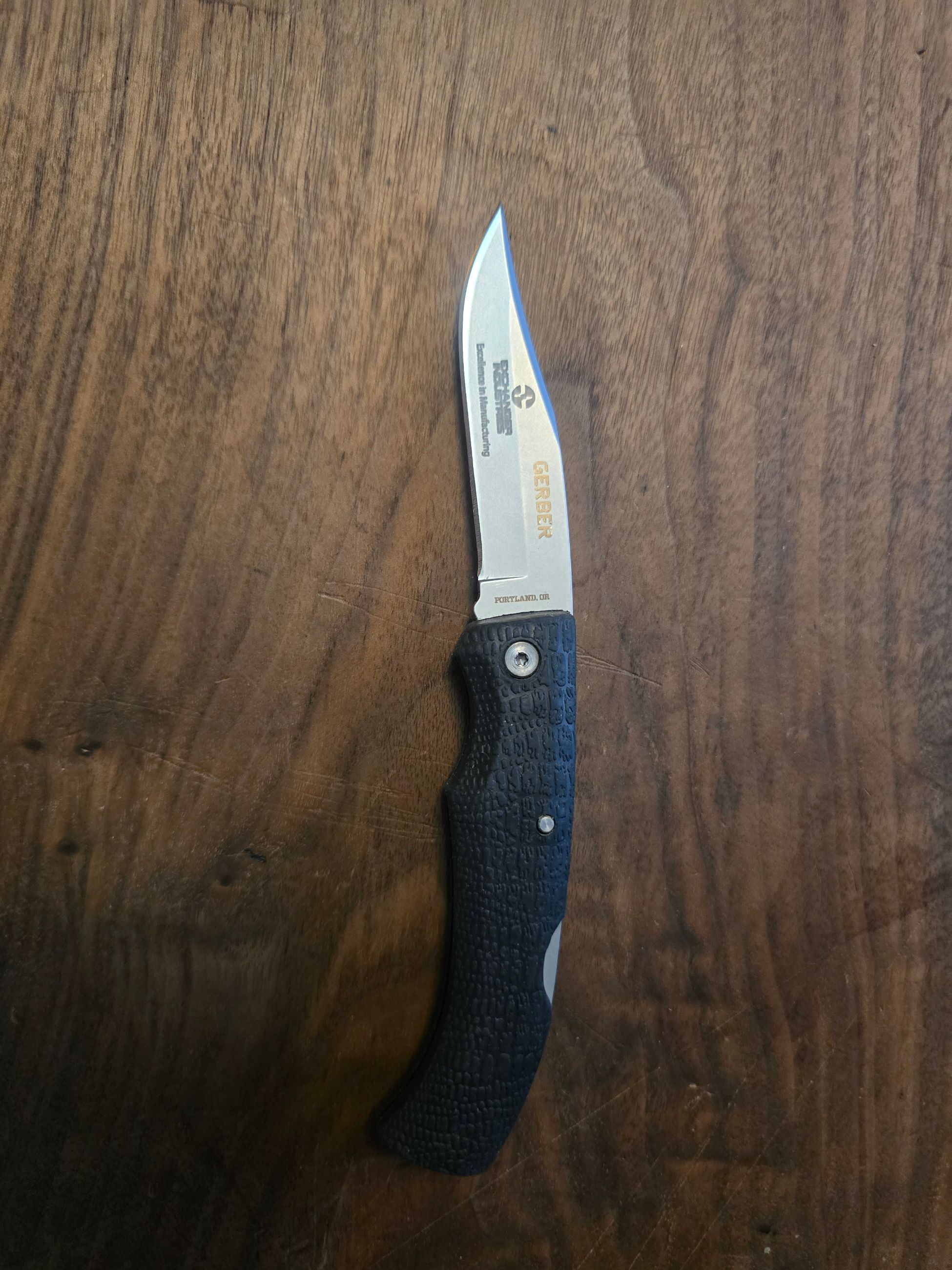 Photo of Gerber gator