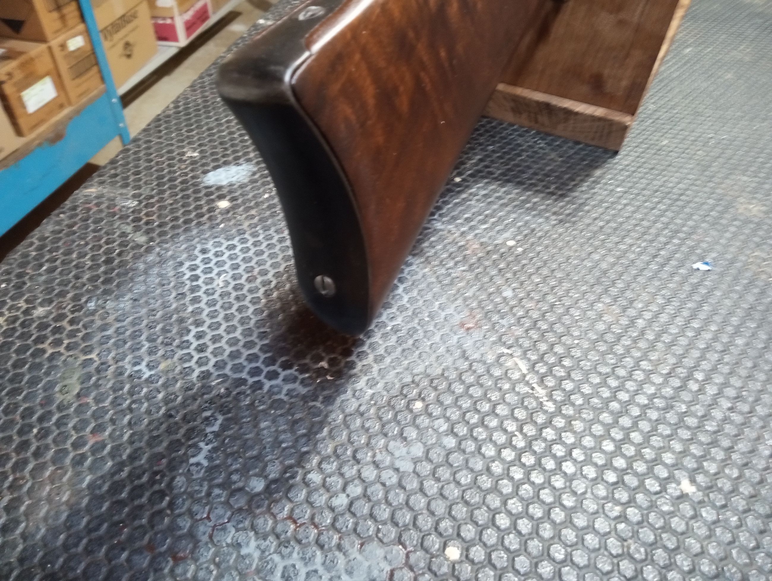 WANTED WIN. PRE 64 WIN.  94  STOCK & HAND GUARD - 4 - 1766057151393_IMG_20251218_055931039